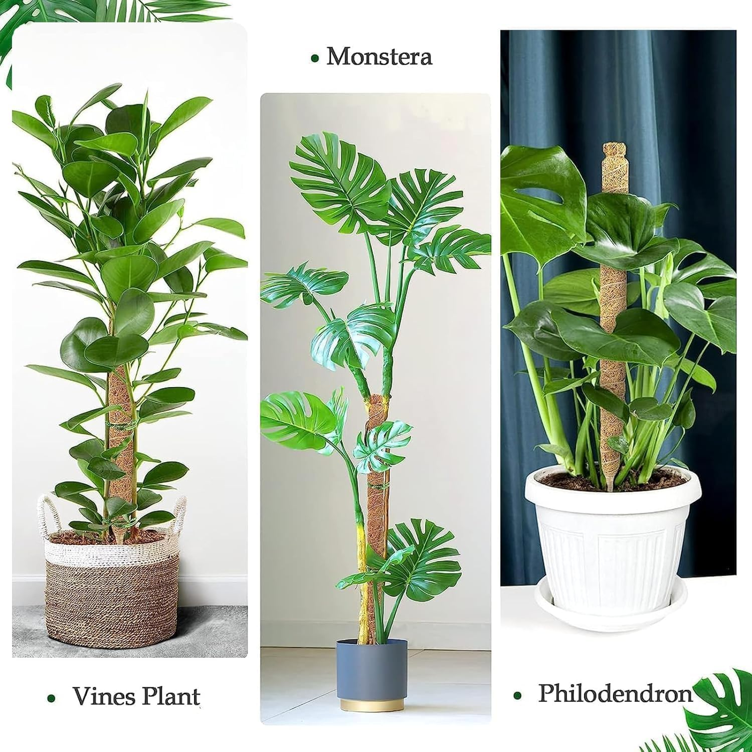 Plants Moss Pole Support, 2PCS 120Cm Bendable Vines Stakes, Flexible Ferns Climber Post, Customizable Coco Coir Rod Seedling Uphold for Monstera, Platycerium & Philodendrons Growth (120CM) image number 1