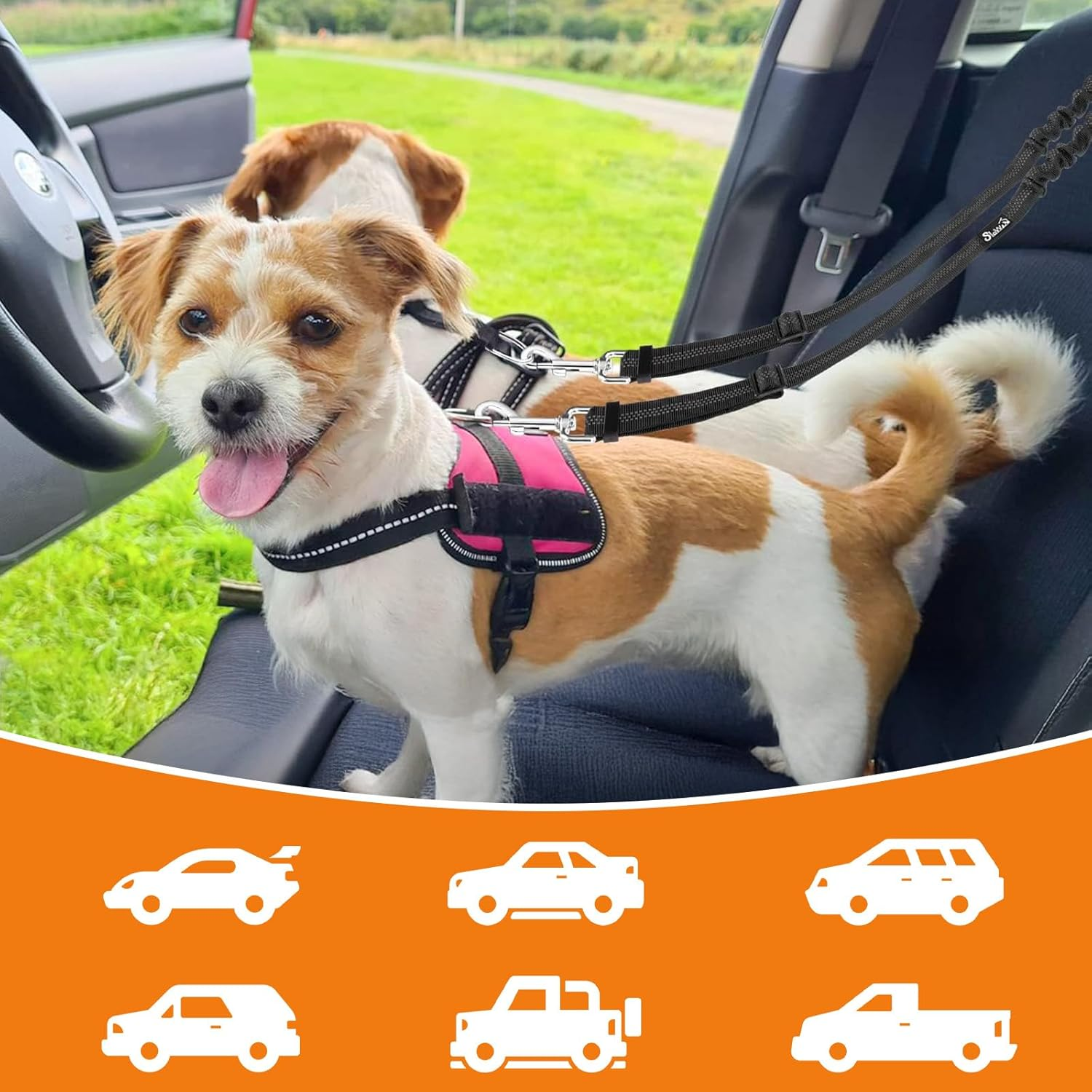 Double Dog Seat Belt for Car Travel - Dual Clip Adjustable Pet Safety Harness, Adjustable Nylon Strap Secures 2 Pets, 360&deg; No Tangle Dogs Cars Tethers with Reflective Strips, Black image number 4