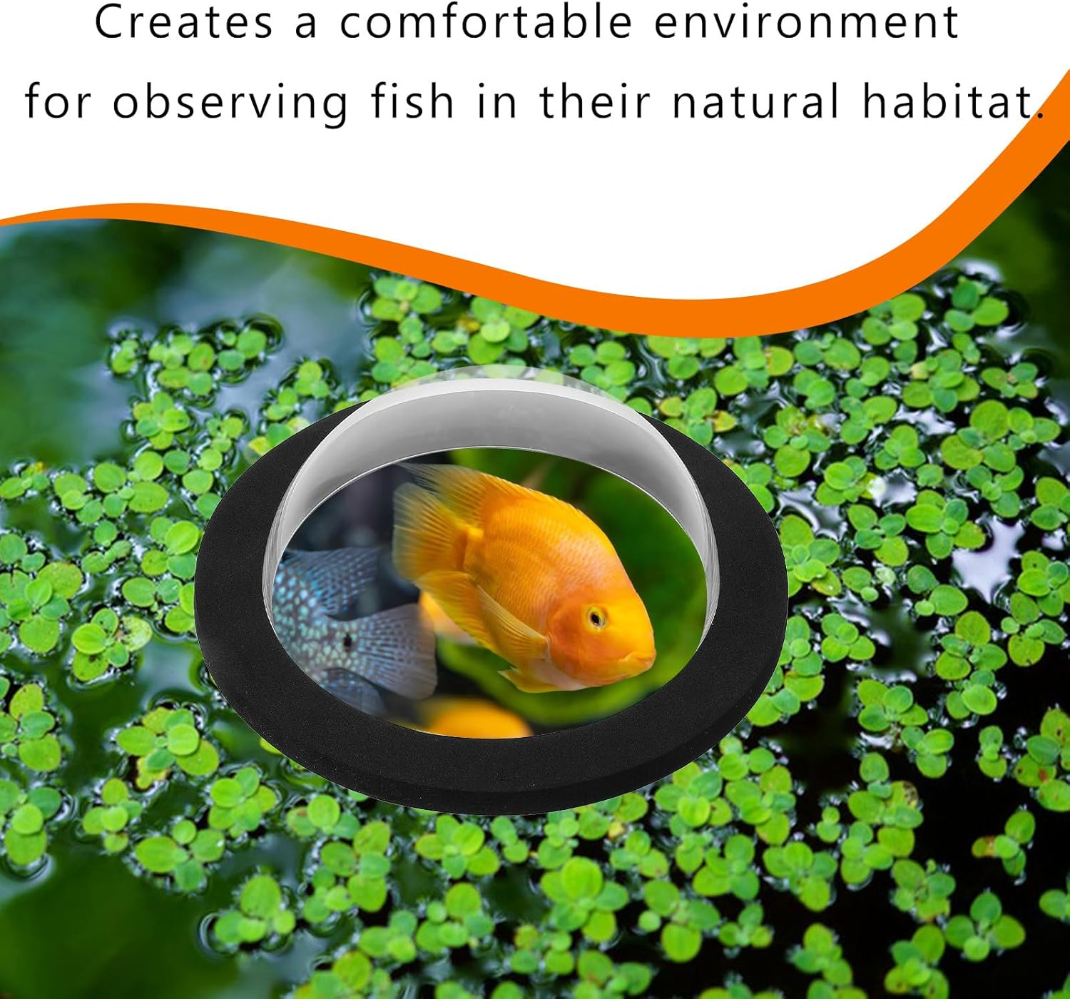 DECHOUS Floating Small Fish Dome Cover for Outdoor Garden Pond 15Cm Lightweight Acrylic Floating Aquarium Dome Black Base and Lid for Aquatic Pets