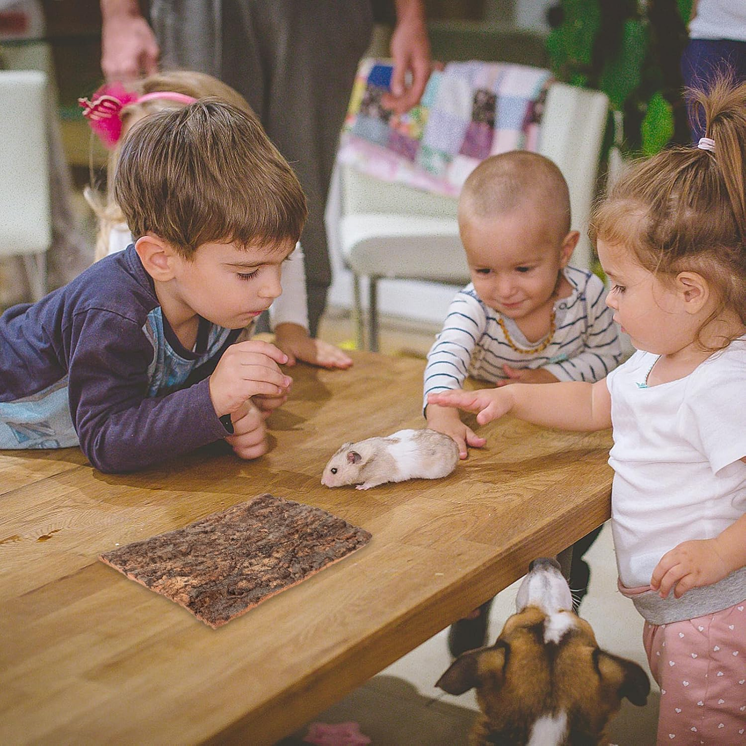 HEALEEP Cork Bark for Reptiles, 2Pcs Turtle Climb Platform 11.7X7.8In Reptile Bask Platform Reptiles Climbing Bark Reptile Tree for Decor image number 6