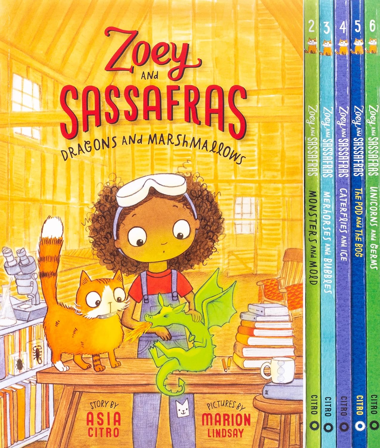 Zoey and Sassafras Books 1-6 Pack: 7 image number 1