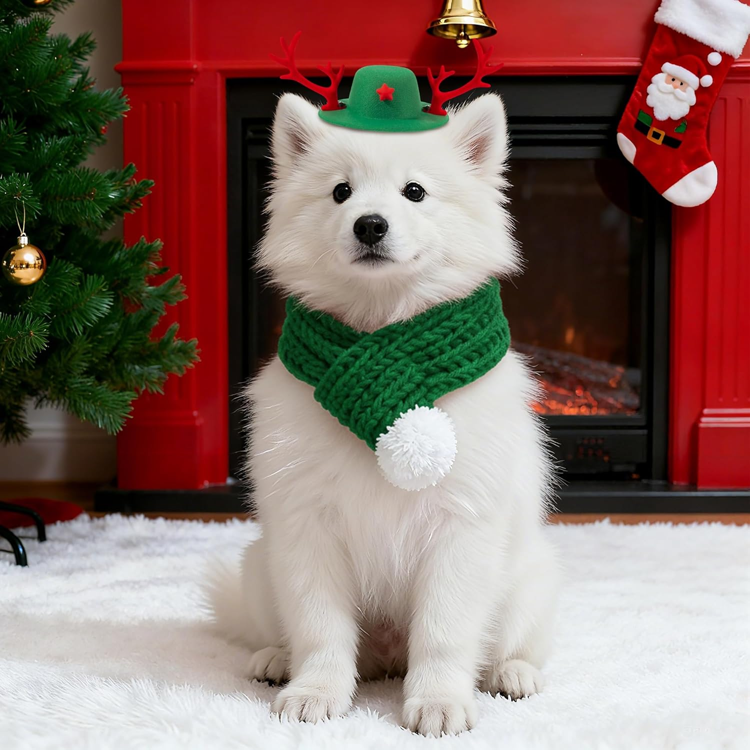Christmas Dog Costume Green M image number 2