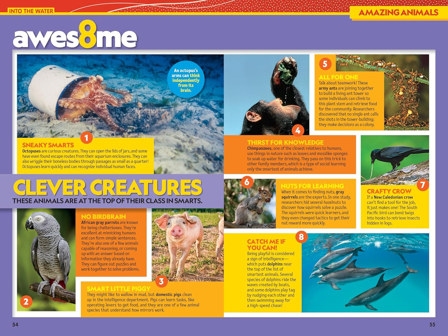 National Geographic Kids Almanac 2026 image number 4