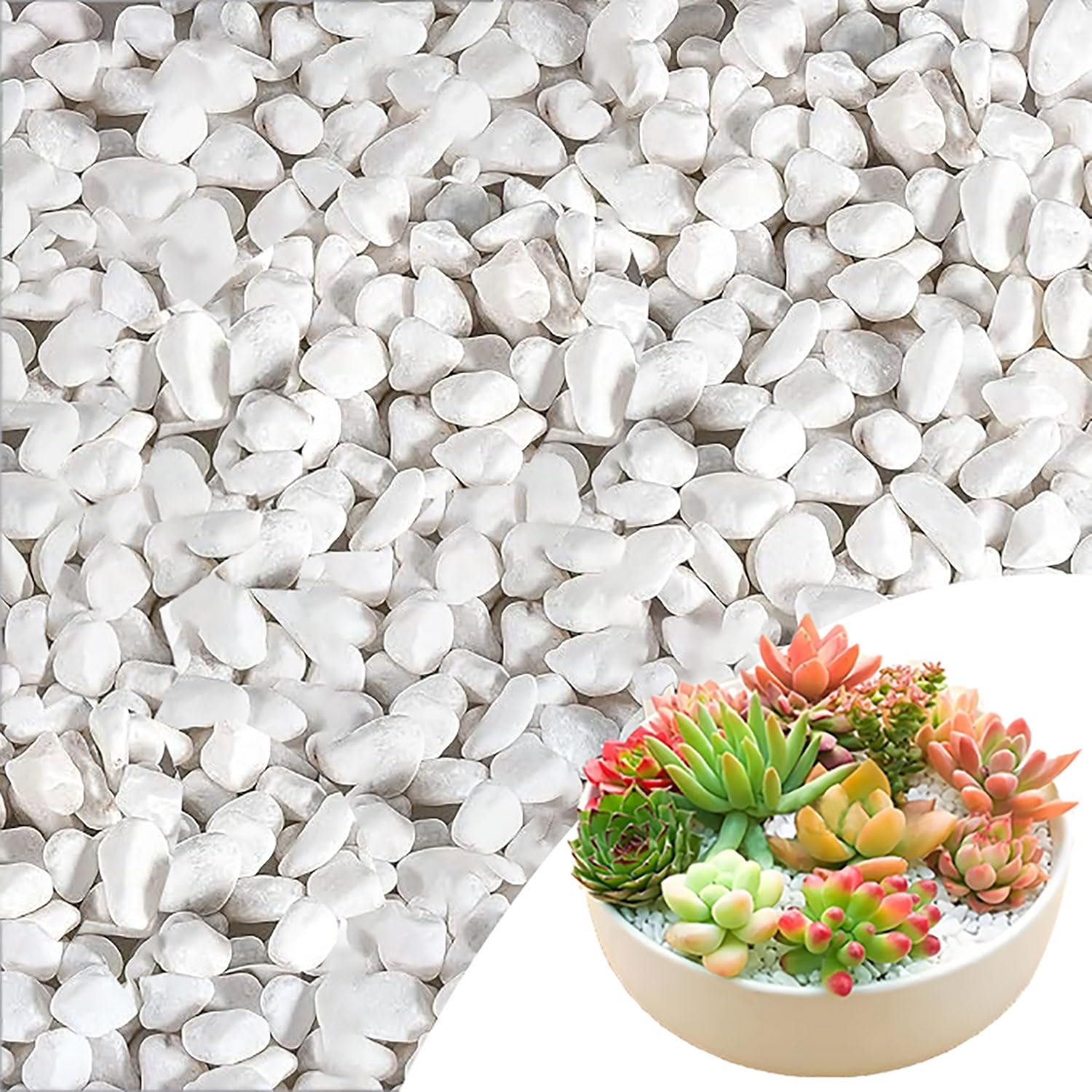 1.65Lb White Pebble for Plants, 1-2Cm Indoor Terrarium Gravel, River Rocks Polished, Vase Fillers Succulents Cactus Bonsai DIY Garden Landscaping Outdoor Stones for Aquarium, Fish Tank Decor image number 5
