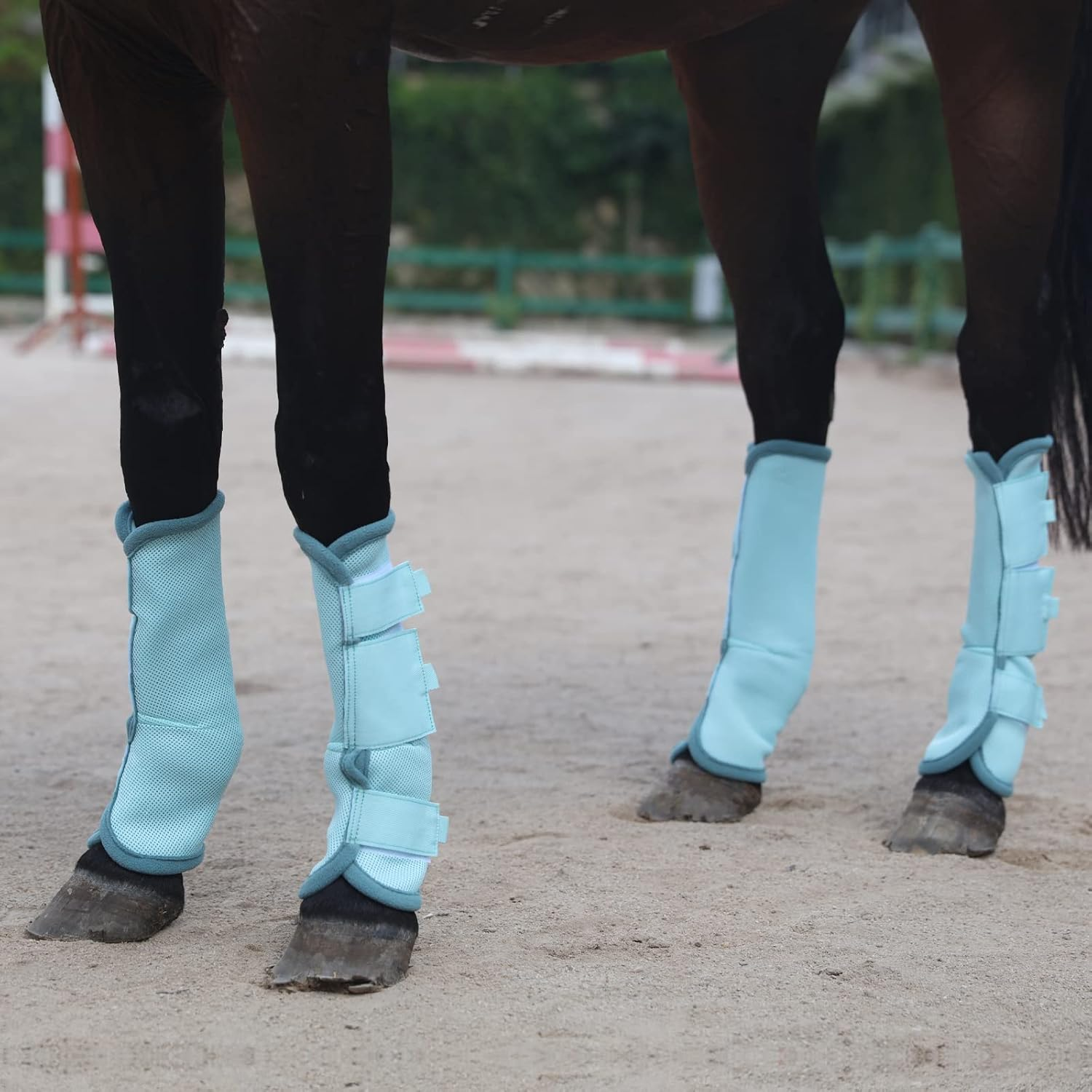 Fly Boots for Horses Set of 4, Breathable Comfy Mesh Horse Leggings Reduce Stomping, Hoof Stress, and Leg Fatigue Skyblue Pony image number 7