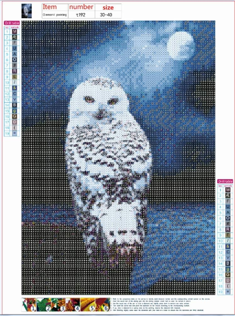 New 5D Diamond Painting Kits for Adults Kids, Awesocrafts White Owl on Rock Full Drill DIY Diamond Art Crystal Rhinestone Paint by Diamonds Cross Stitch (Owl) image number 3