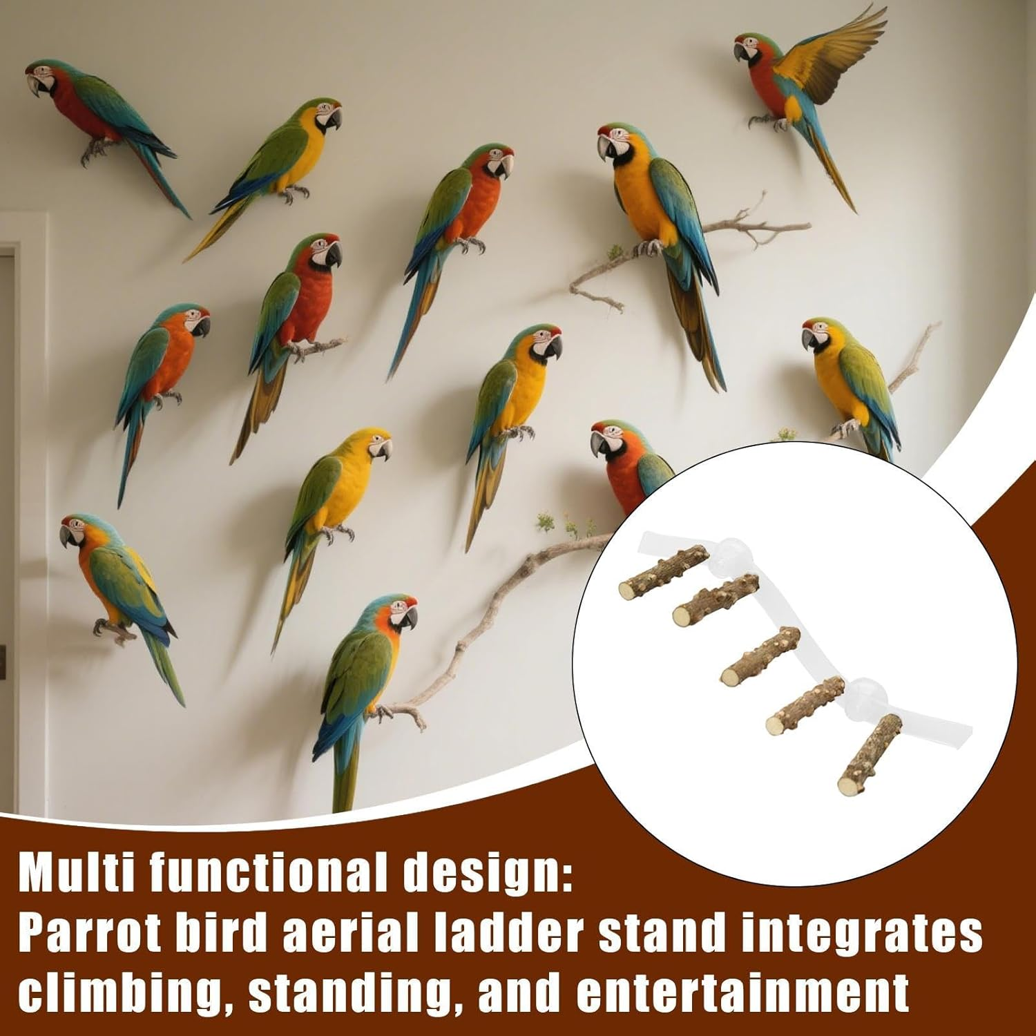 Nybhyjka Perch for Birds,Conure Climbing Ramp - Portable Suction Cup Cage Perch for Parrot, Parakeet, Conure for Home, Wall, Window image number 7