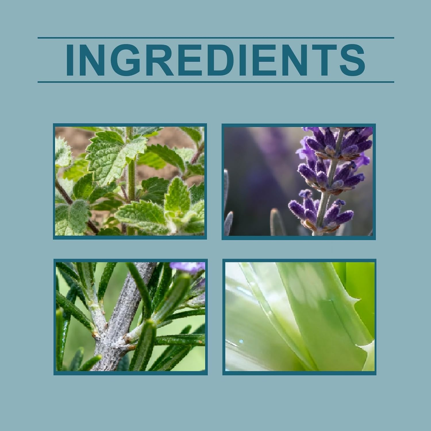 3 Days Nail Care Oil for Dry Brittle Nails, Plant-Infused Strengthening & Hydrating Treatment with Lavender, Aloe Vera & Rosemary, Moisturizing Glossy Nail Repair for Healthier (2PCS) - 4Pcs image number 2