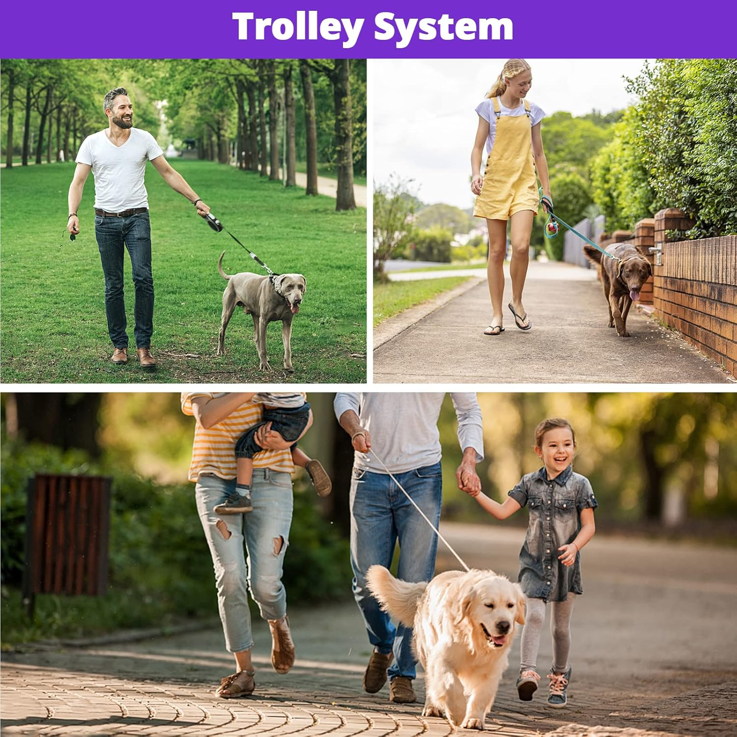 Long Dog Leash 15 FT: Heavy Duty Rope Leashes for Dogs Training with Swivel Lockable Hook Reflective Threads Bungee and Padded Handle - Dog Lead for Large Small Medium Dogs outside Walking Hiking