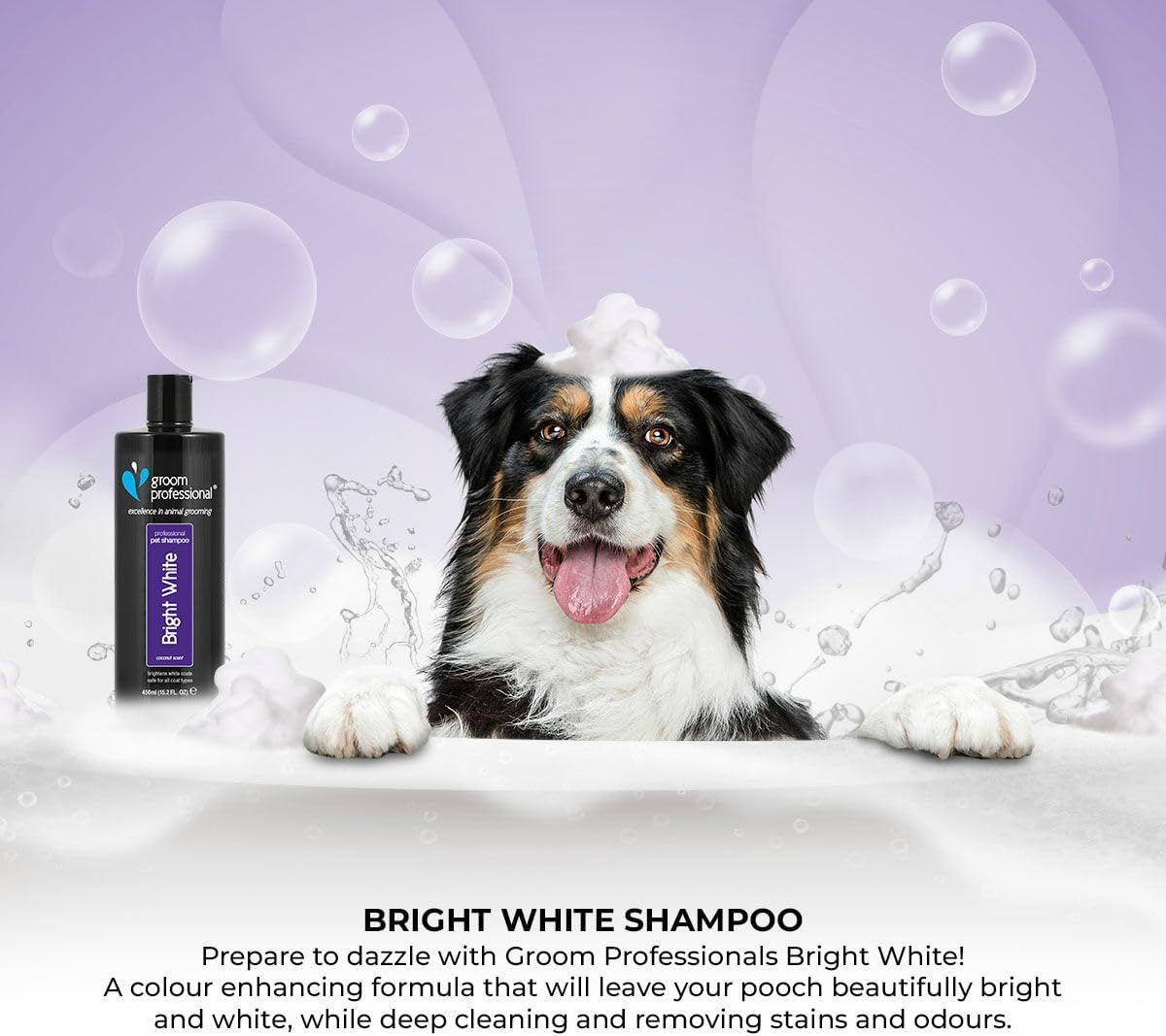 Groom Professional Bright White Dog Shampoo (350Ml) - 10:1 Whitening Concentrate for White Coat, Removes Stains and Yellowing, Cleans Deep, Professional Quality, UK image number 1