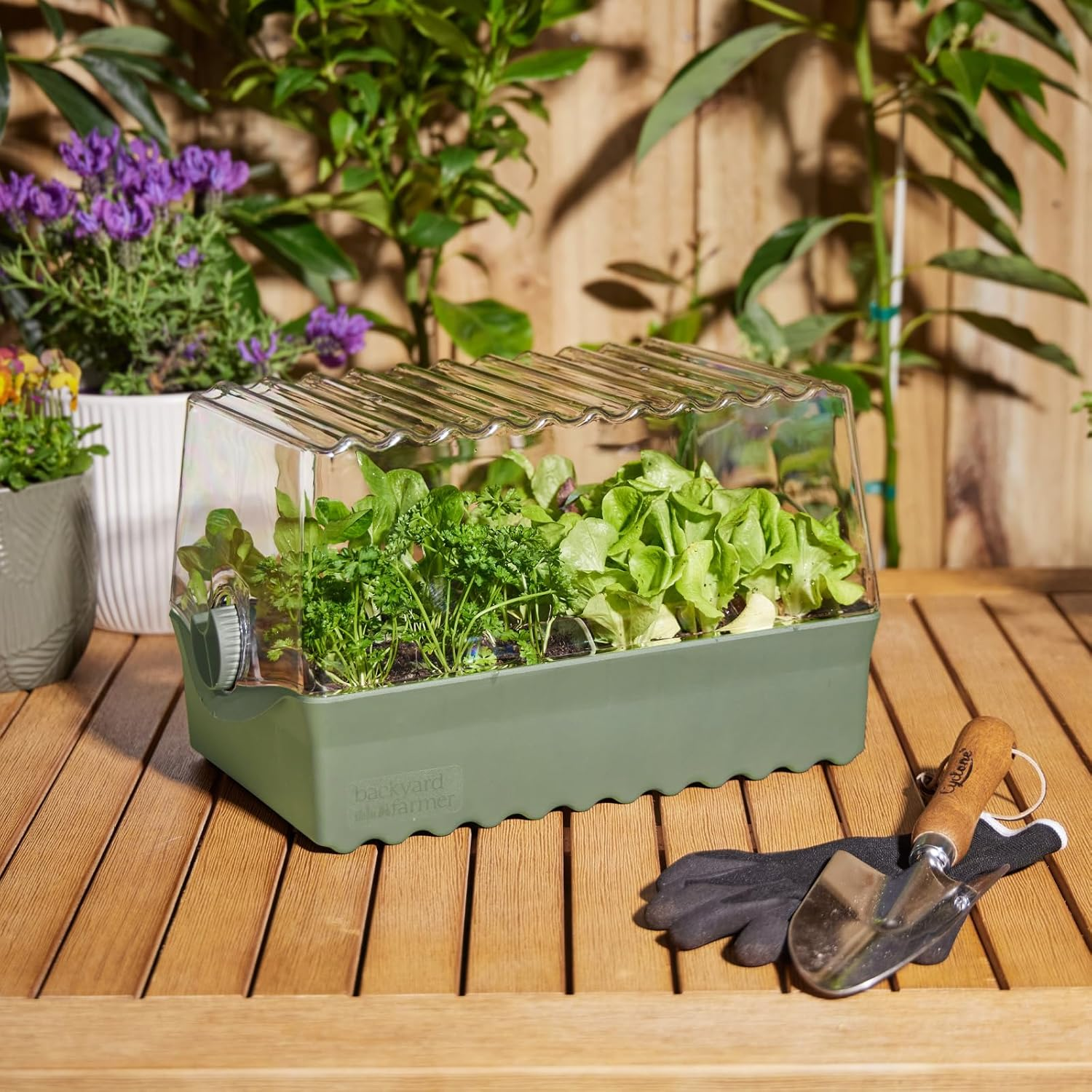 Backyard Farmer Flori Seed Propagation Kit, Green image number 5