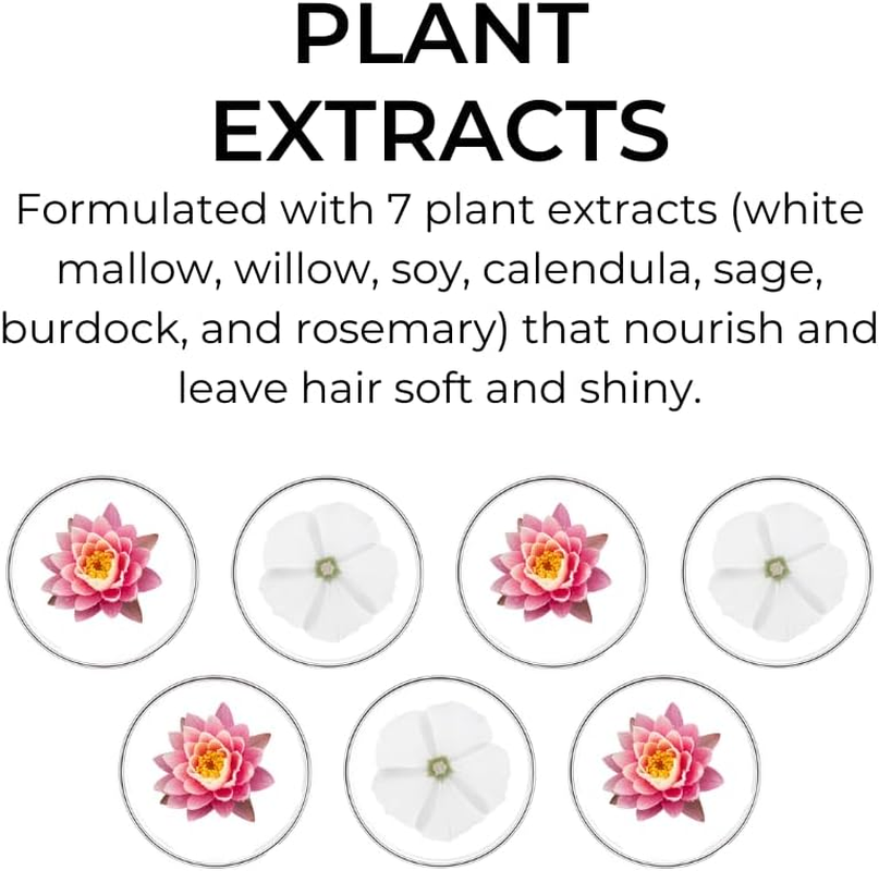 Phyto 7 Hydrating Day Cream, 50Ml image number 5