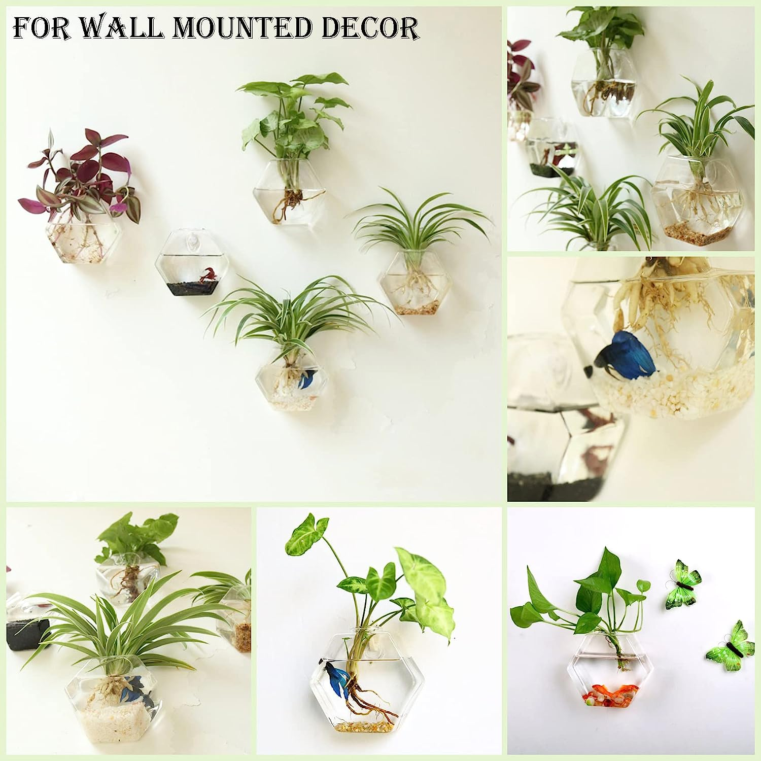Kingbuy Design Home Decor Wall Decorations Set of 3 Pack Plant Terrarium Glass Planter Hexagon Shape Wall Hung Water Planting Glass Vase image number 2