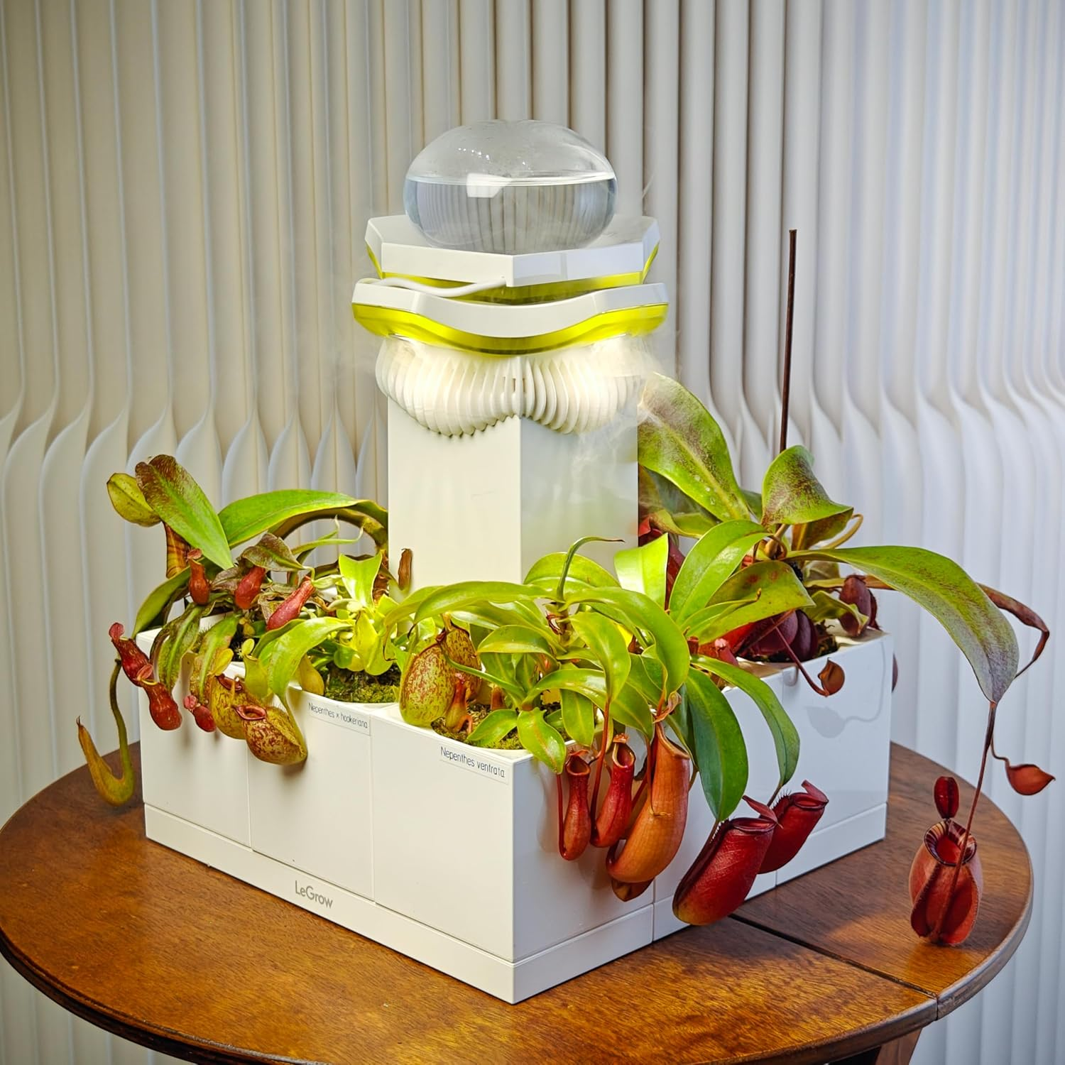 Legrow Nepenthes Terrarium System &ndash; Pitcher Plant Planter with LED Grow Light & Humidifier, Self-Watering Indoor Carnivorous Plant Setup &ndash; No Live Plant, Beginner Friendly image number 4