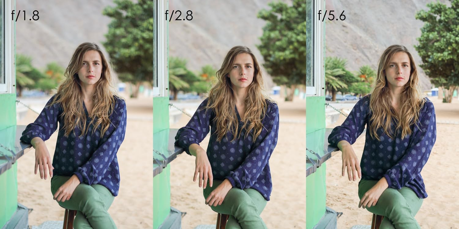 Canon EF 50Mm F/1.8 STM Lens Black image number 2