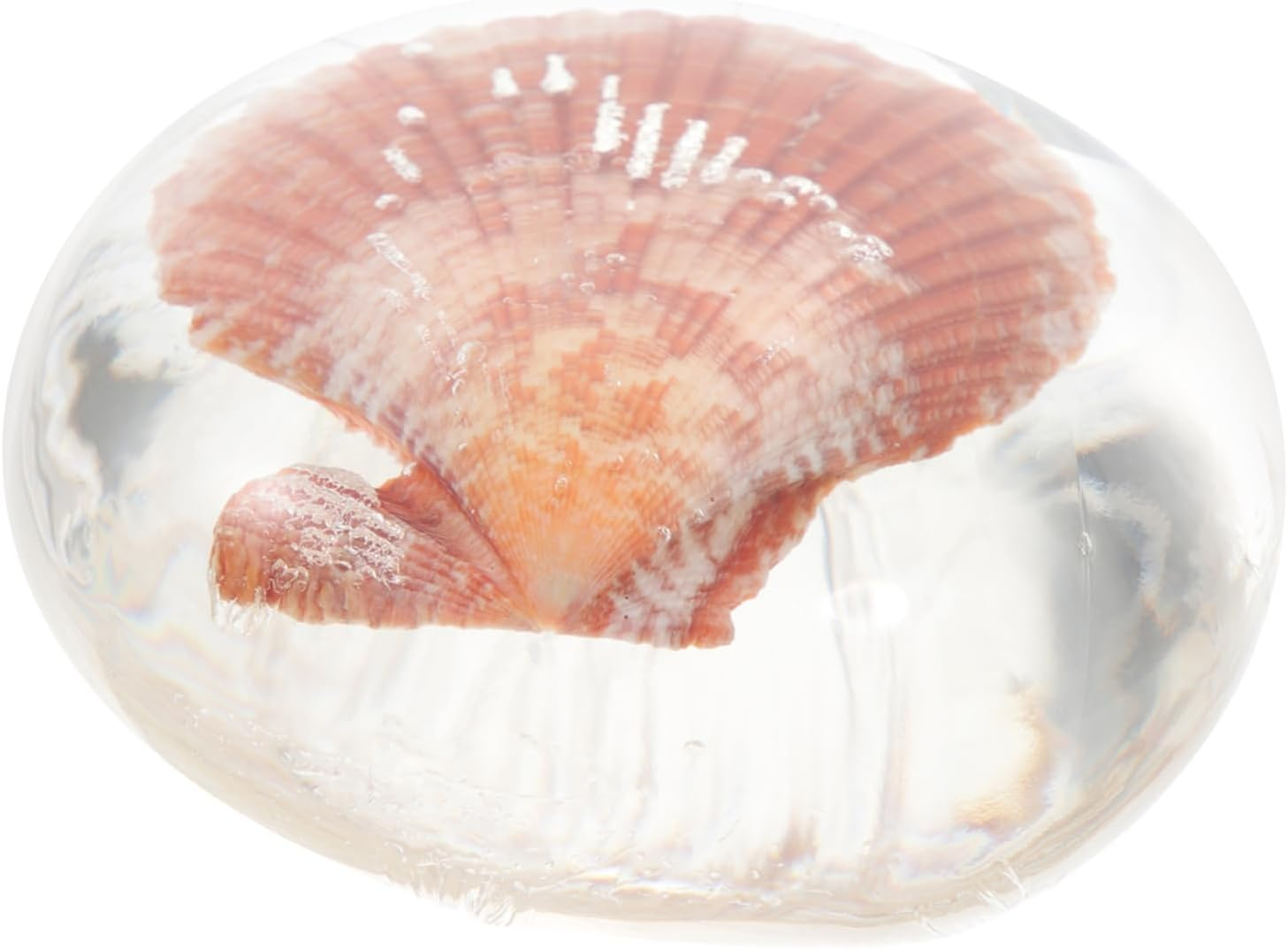 Healeved 1Pc Hydrating Acid Soap Moisturizing Acid Cleanser Essential Oil Jelly Shell Design for Deep Cleansing Travel-Friendly Face Washing Soap