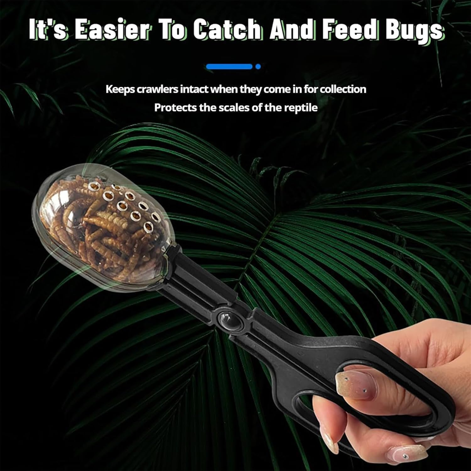 Cozioz 3-Pack Reptile Feeding Clamp & Poop Scoop &ndash; Plastic Feeding and Cleaning Tools for Tortoise, Lizard, Frog, Spider, and Other Small Animals