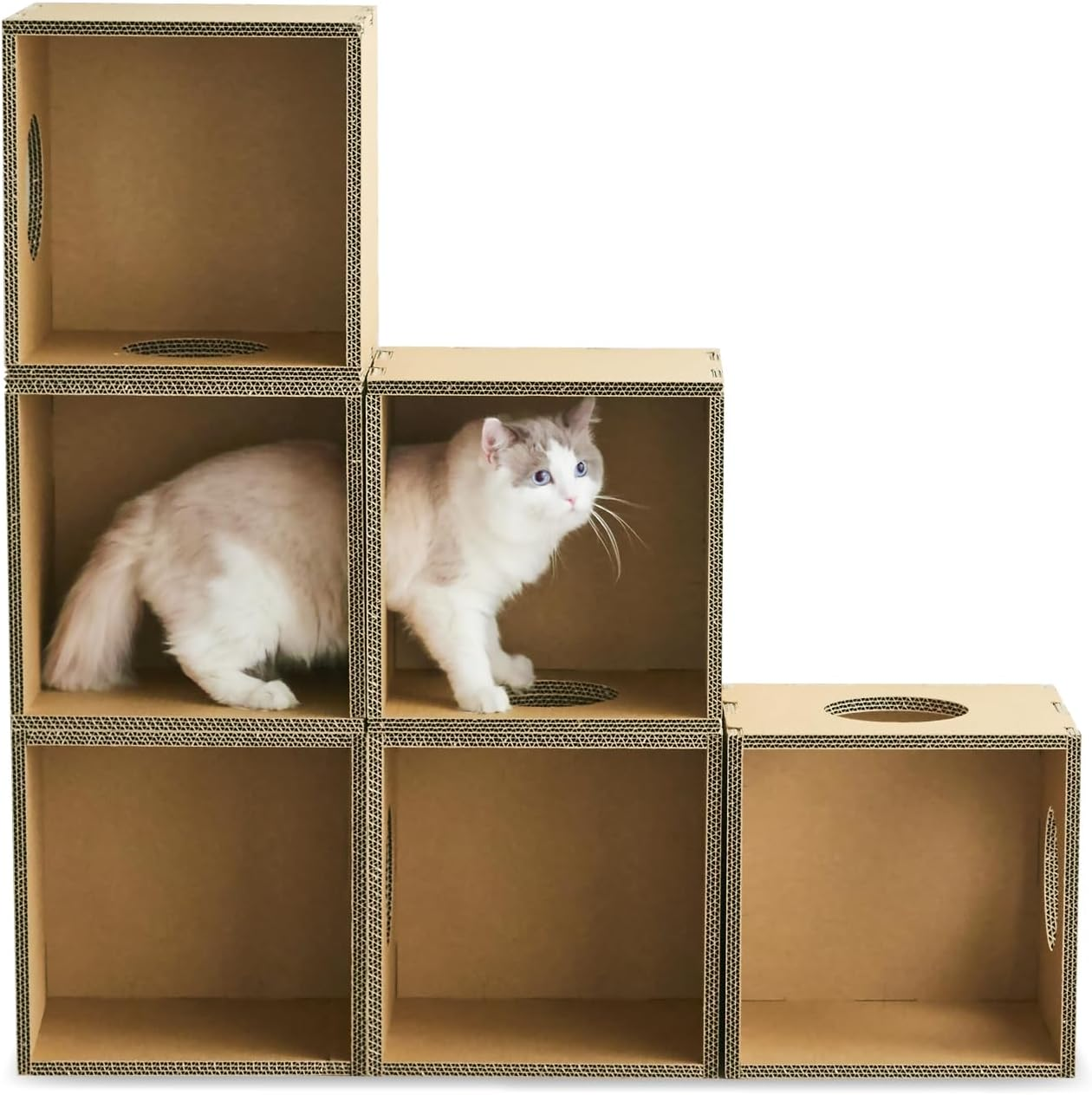 PAPER NEW STANDARD Km-Aw-025-01 Cat Tower, Set of 6, Craft, Cat House, Assembly, Reinforced Cardboard, Made in Japan image number 4