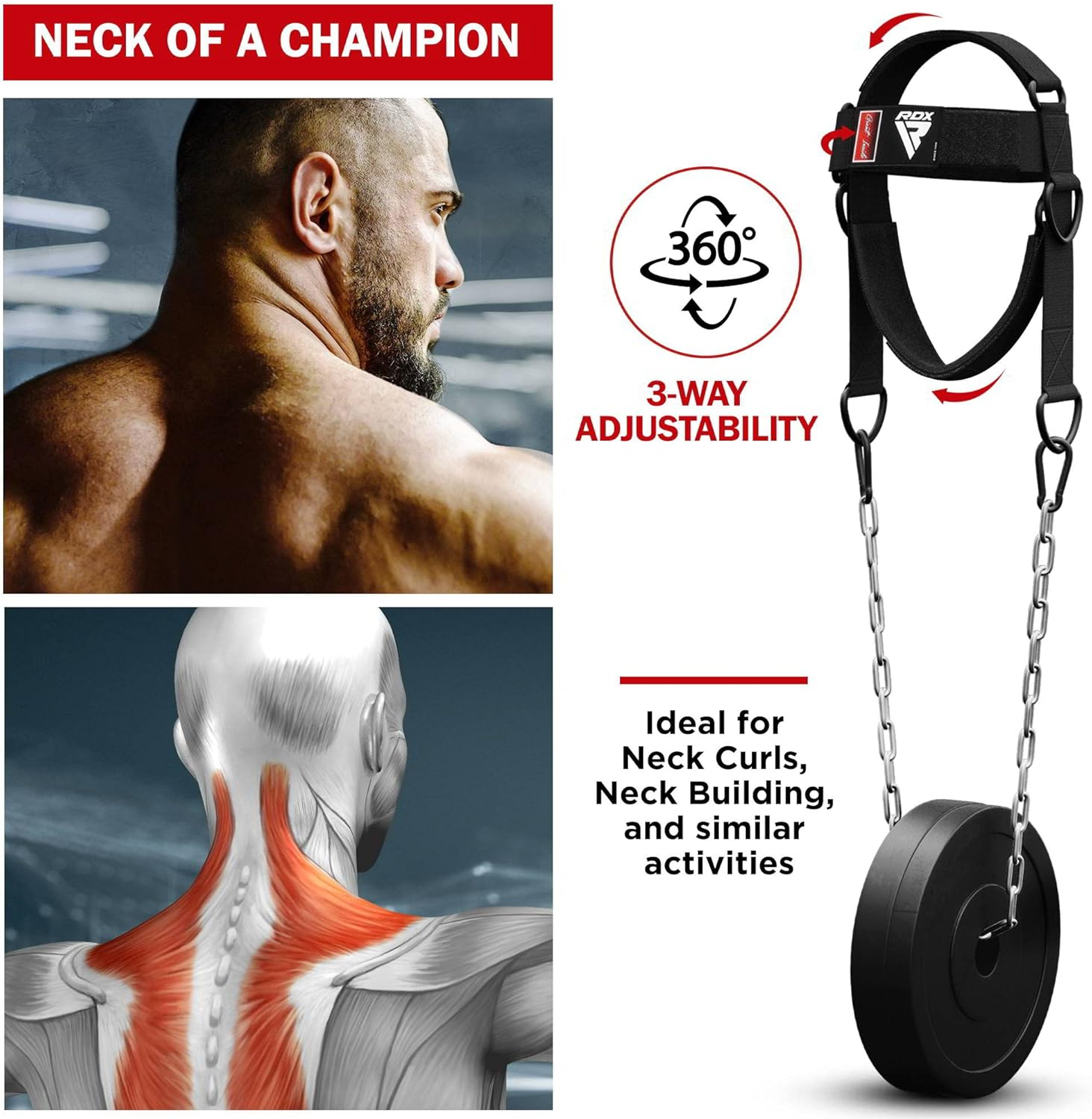 RDX Neck Harness Weight Lifting Training, Head Harness Exerciser, 4MM Padded Neck Builder, 90CM Long Adjustable Steel Chain, Gym Boxing Strength Resistance Workout, Strengthener Trainer Equipment image number 2