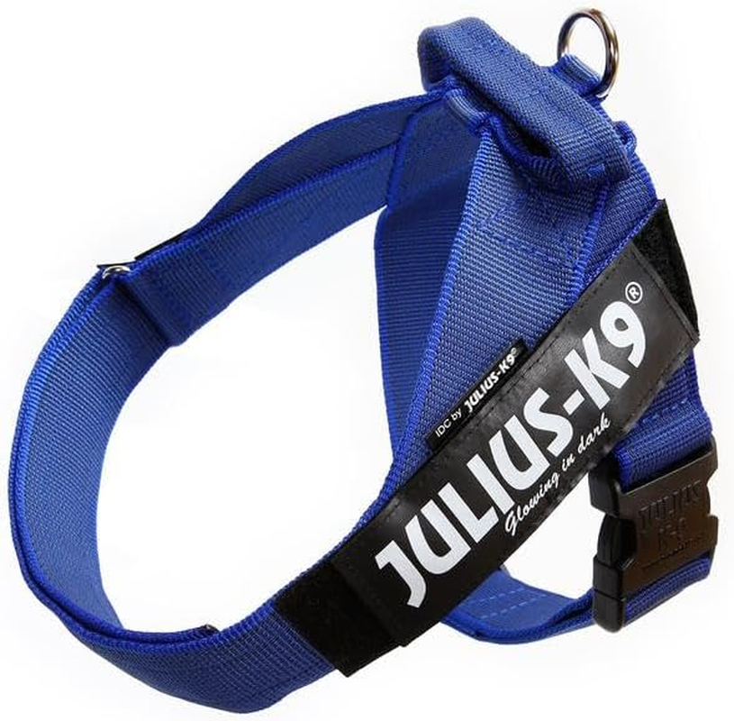Julius-K9 IDC Color & Gray Belt Harness for Dogs, Size 1, Blue-Gray image number 6