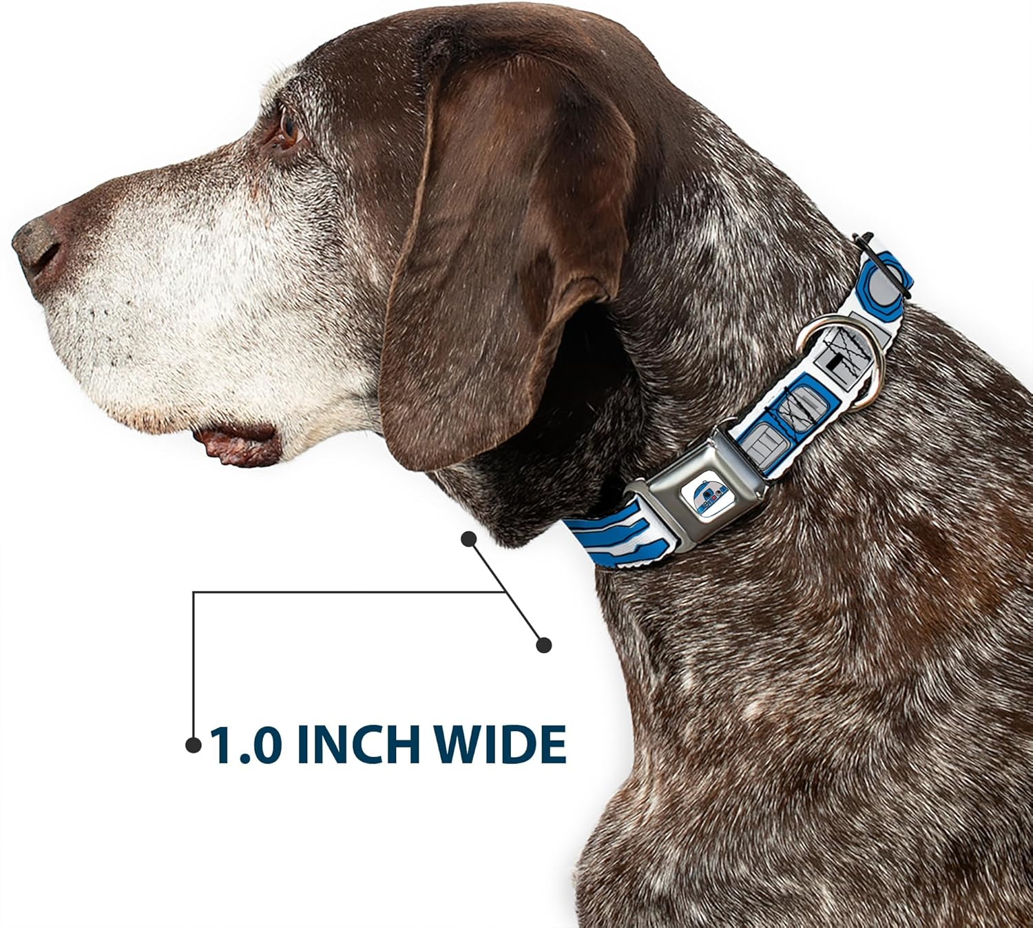 Dog Collar Seatbelt Buckle Star Wars R2D2 Bounding Parts White Black Blue Gray Red 15 to 26 Inches 1.0 Inch Wide