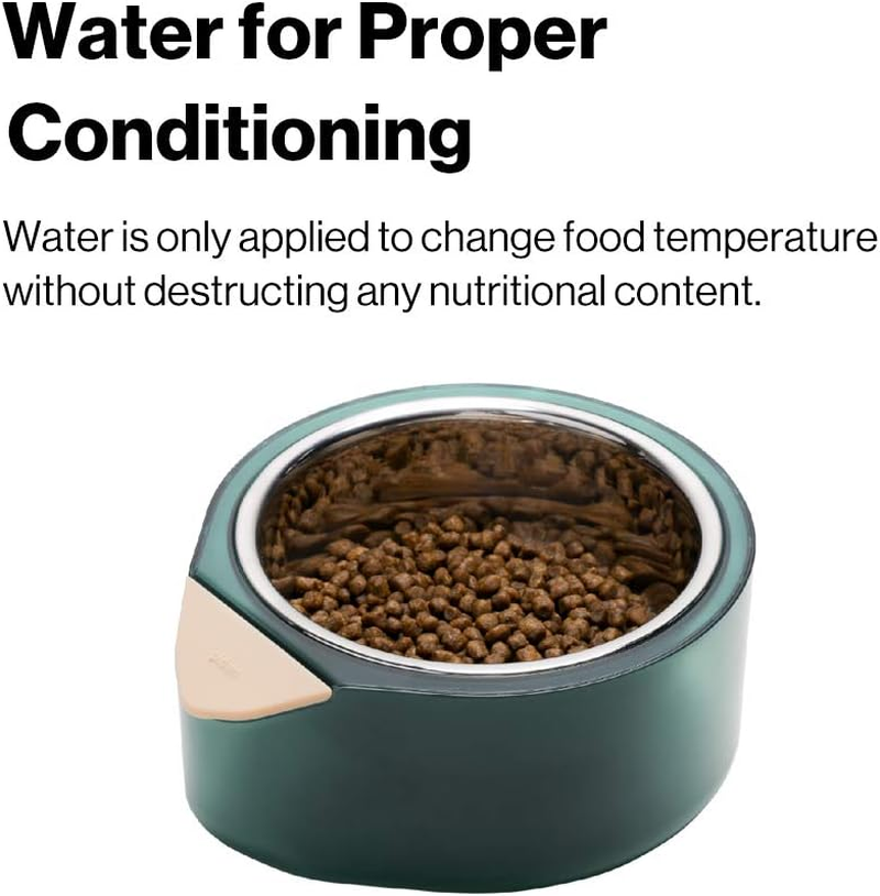 Pidan Cat Bowl Elevated Pet Feeder Raised Food and Water Bowl Stainless Steel Heating and Cooling by Water for Small Medium Large Cats and Dogs(Secret Technique of Water) (Single Bowl-L) image number 4