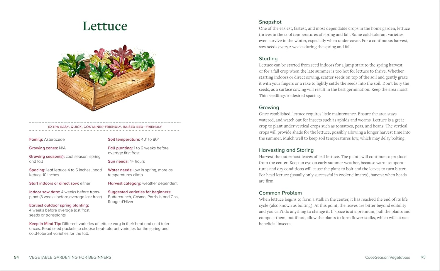 Vegetable Gardening for Beginners: a Simple Guide to Growing Vegetables at Home image number 3