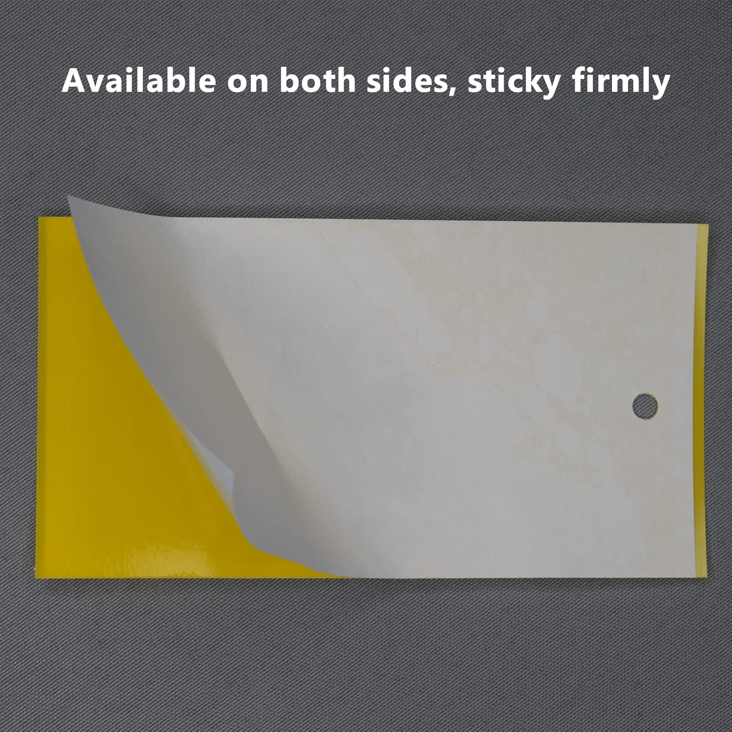 Sticky Traps for Flying Plant Insect Fungus Gnats 20Pcs 20 * 15Cm Dual-Sided Flying Insect Traps Can Be Cut image number 6