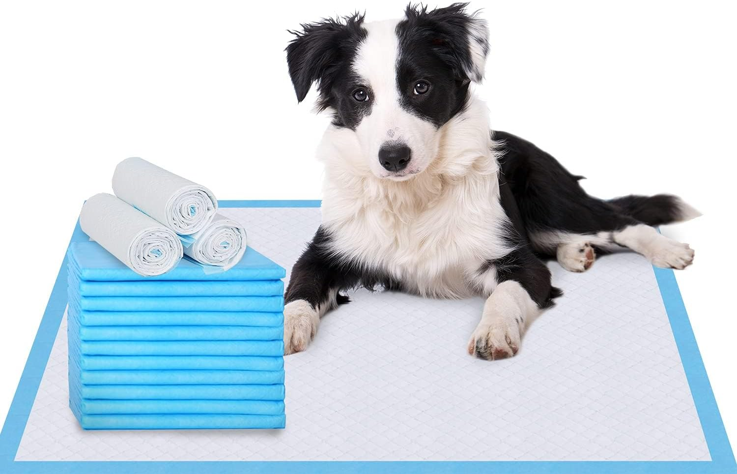 Puppy Pads, Disposable Puppy Training Pads ,60*60Cm -40 Count Puppy Pads | Premium Dog Training Pads，Pee Pads Bed Pads, Underpads Ultra Absorbent Incontinence Pet Training Pads image number 1