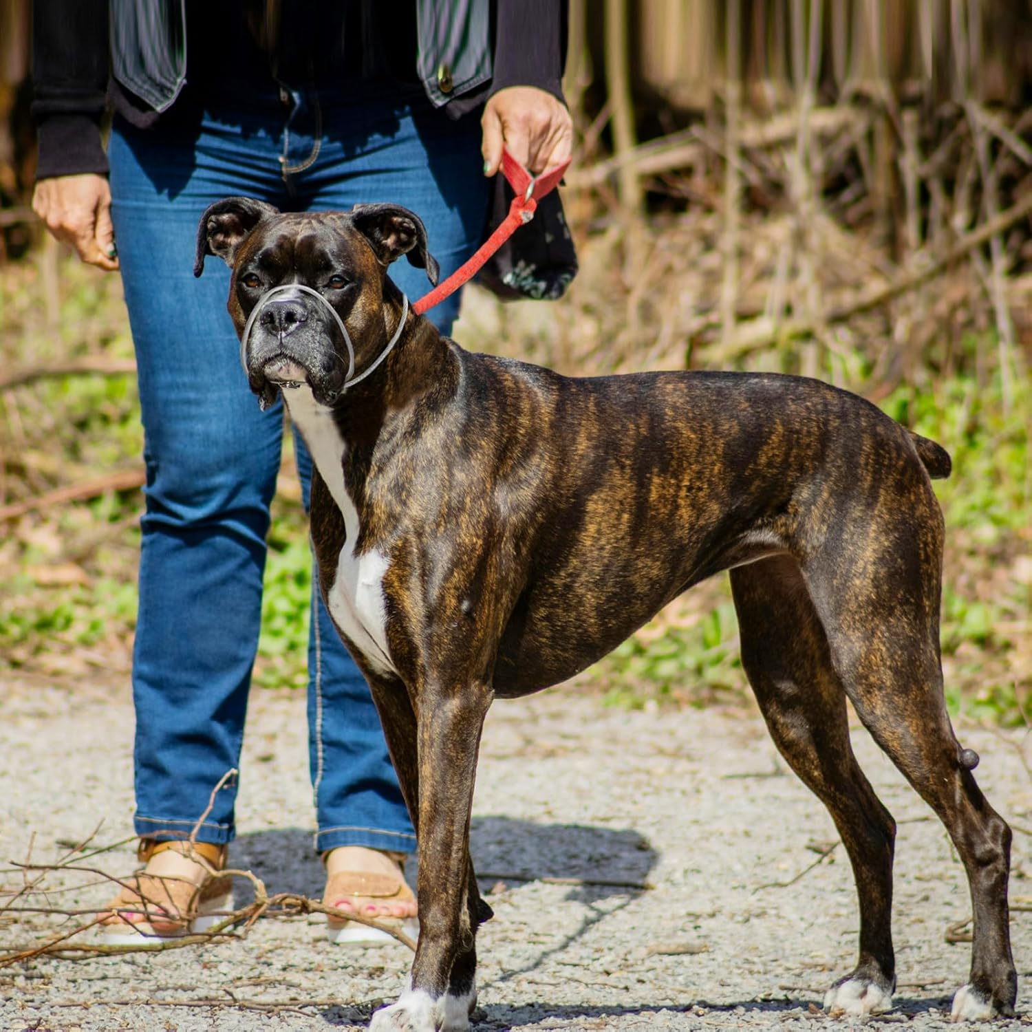 LOS ANDES Dog Halter Head Harness, Stops Heavy Pulling on the Halter Collar, Padded Halter for Small, Medium and Large Dogs (Black)