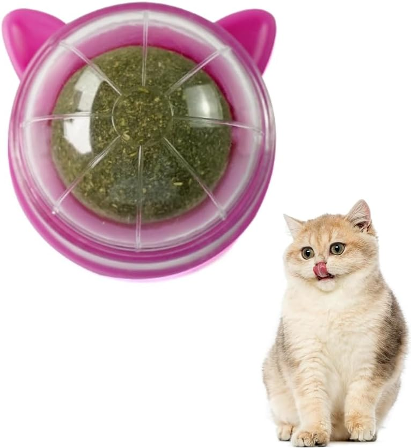 Catnip Ball Rotatable Catnip Lickable Ball Tooth Cleaning Dental Cat Toy Cats Kitten Chew Toy Cat Wall Treats Interactive Cat Lick Chew Toy (Rose Red) image number 5