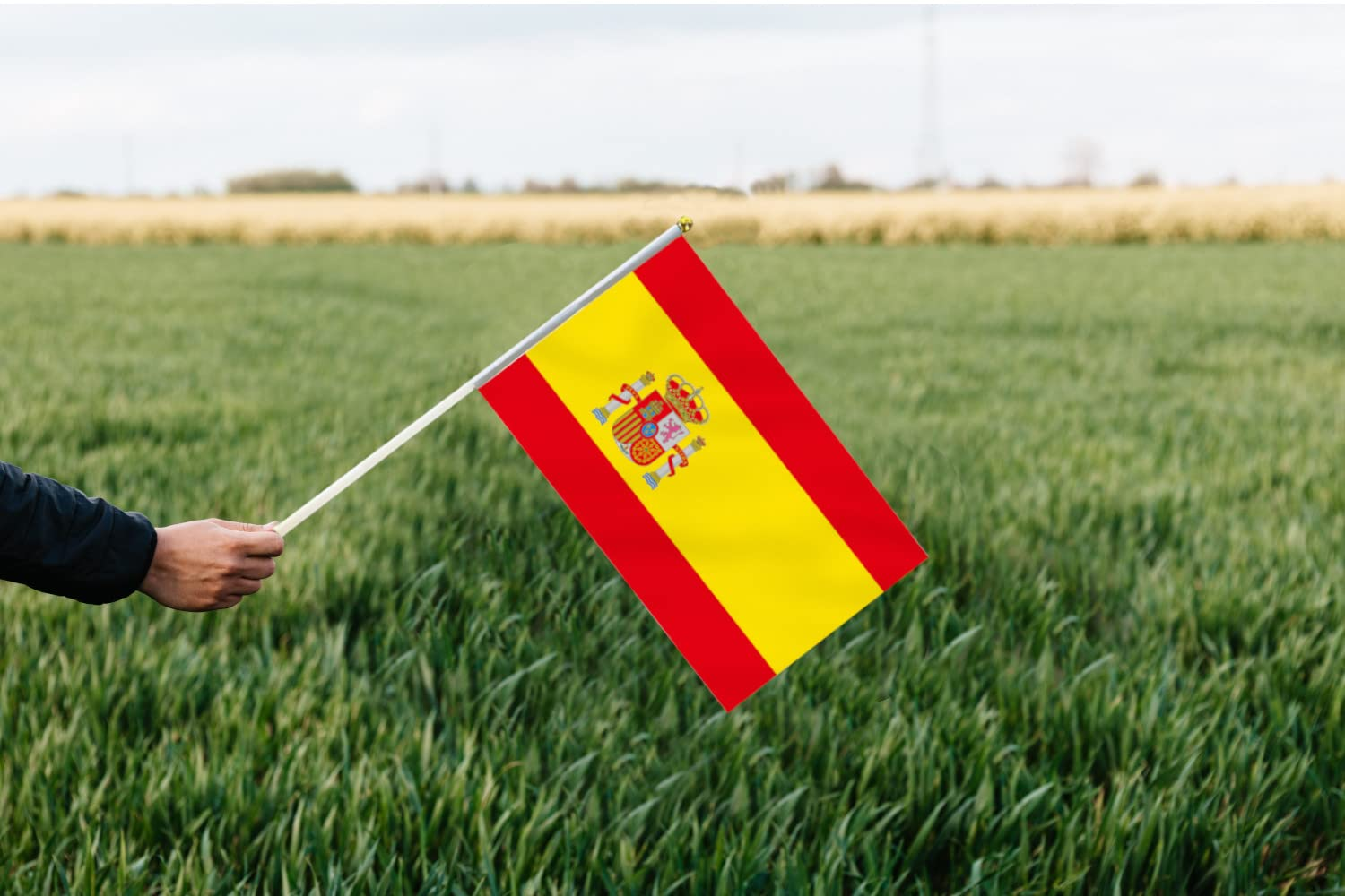 10 PCS Handheld Spain Flag,8.5&times;5.5 Inch Hand Held Mini Spanish Flags Banner for Indoor Outdoor Parade Waving the Tlag and Shouting image number 4
