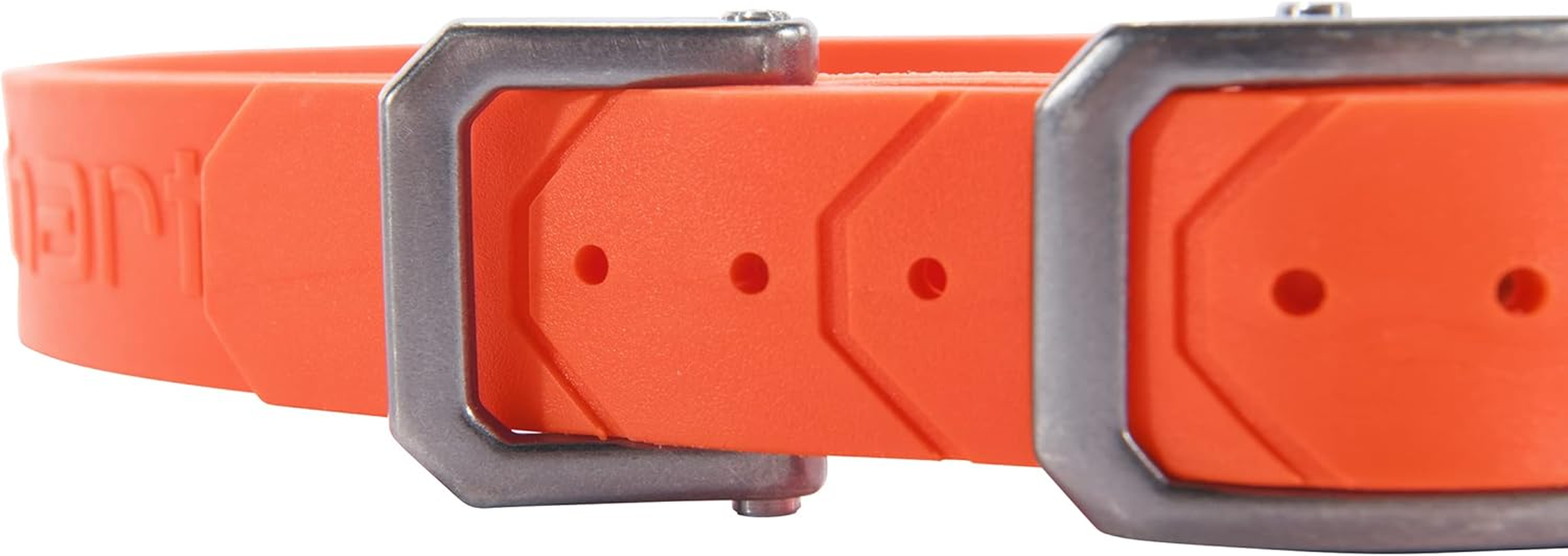 Carhartt Fully Adjustable Waterproof Dog Collar, Hunter Orange, One Size image number 4