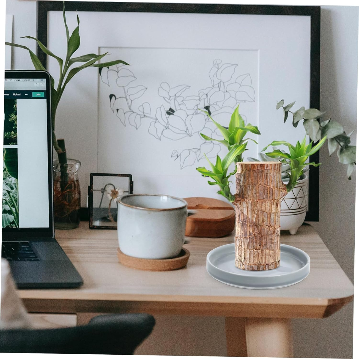 IWOWHERO Flower Pot Drainage Tray Potted Plants Saucer Stable Base for Types of Gardening image number 2