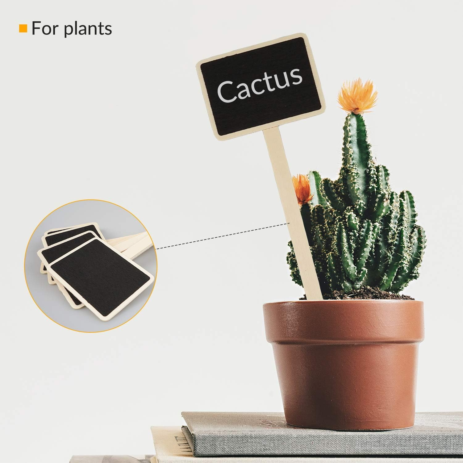 JJWNMLL 20Pcs Wooden Plant Labels Black Board Markers Plant Signs Mini Chalkboard Garden Stakes Tags T-Type Tags for Vegetable Seeds Trees Herbs Flowers Garden Rectangular, 24Cm X 17.5Cm image number 2