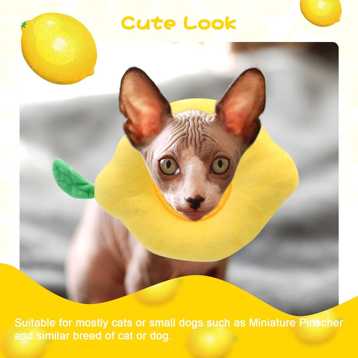 HYLYUN Cat Recovery Collar - Cute Lemon Neck Cat Cones after Surgery, Adjustable Cat E Collar, Surgery Recovery Elizabethan Collars for Kitten and Cats image number 2