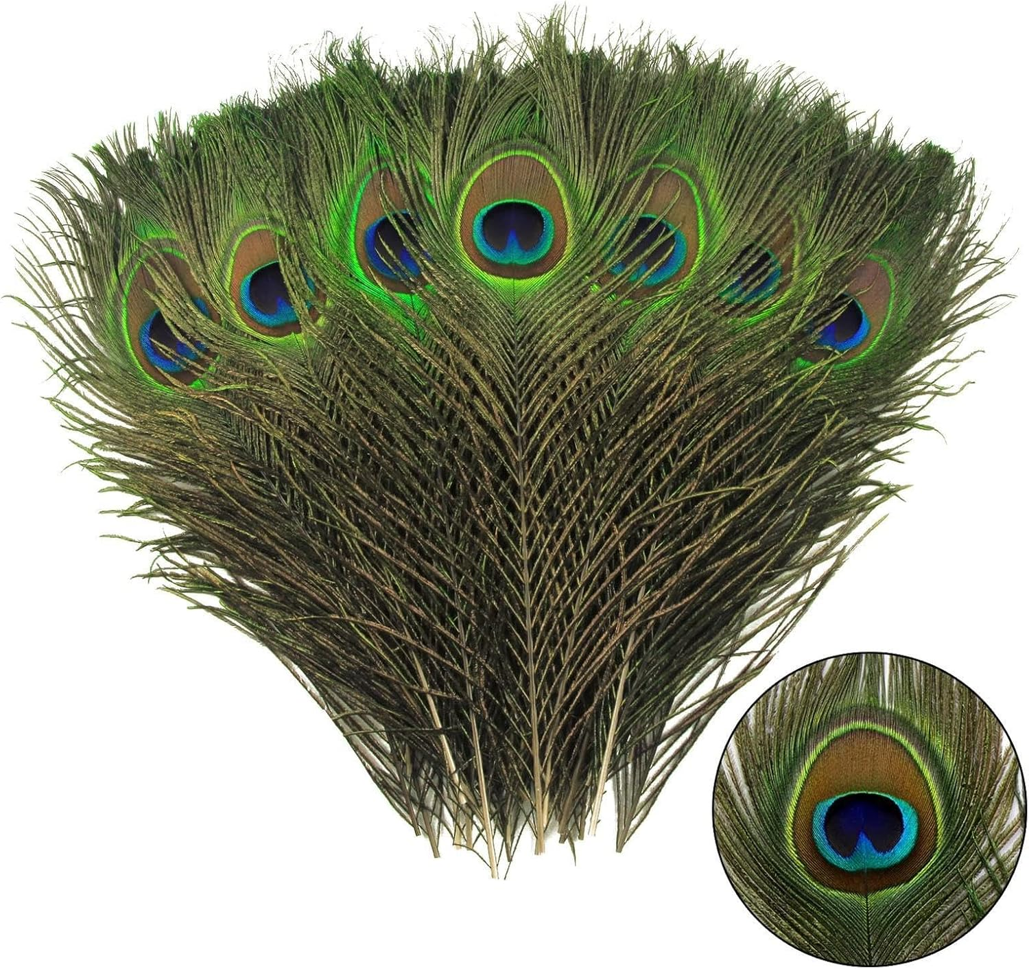 12Pcs Peacock Feather Natural in Bulk 10-12 Inch 25-30Cm for Craft Vase Wedding Home Party Christmas Day Decoration Peacock Feathers