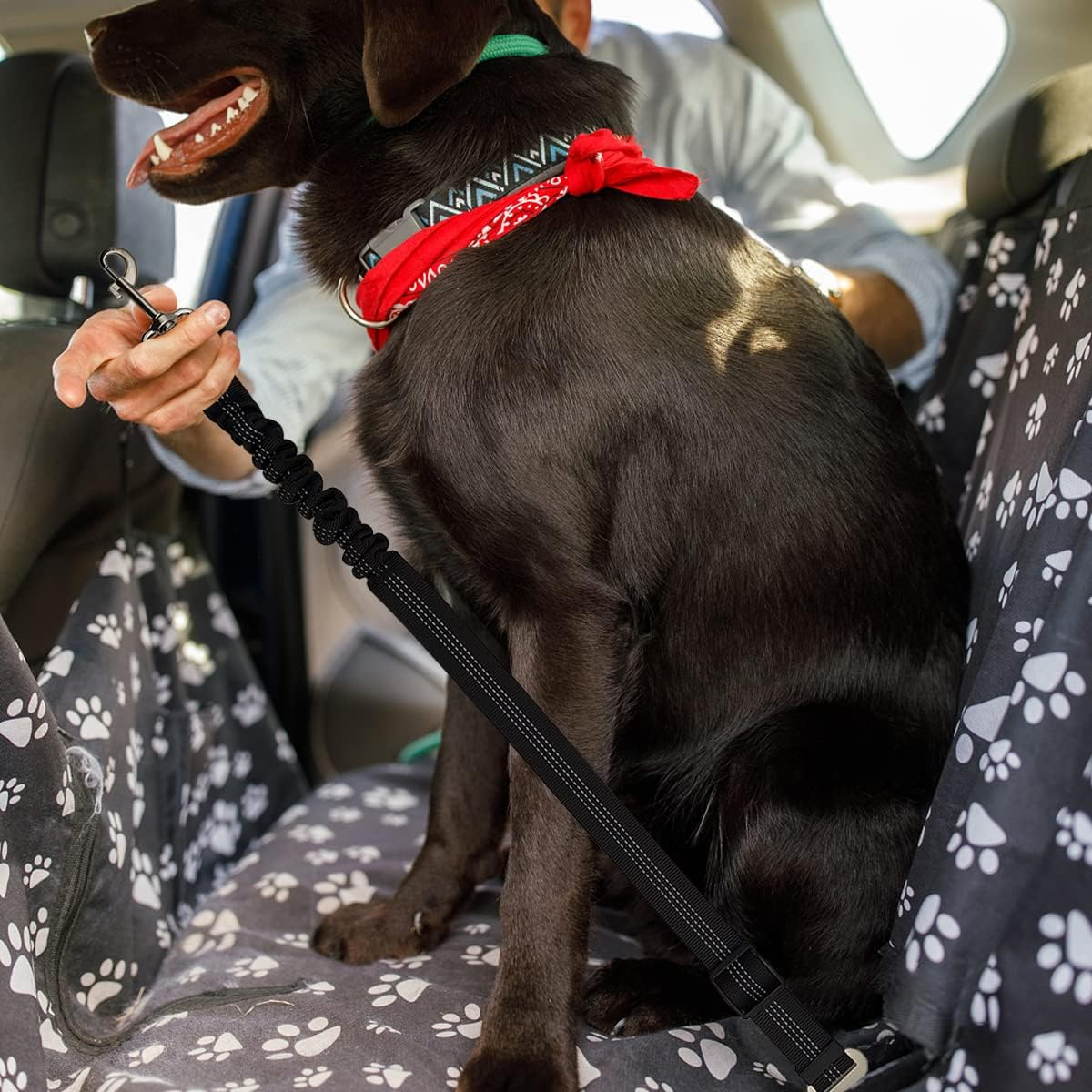 2 PCS Dog Seat Belt,Yucool Retractable Dog Car Seat Belts Safety Dog Seat Car Harness for Car Travel with Stainless Hook and Elastic Bungee Buffer(Black)