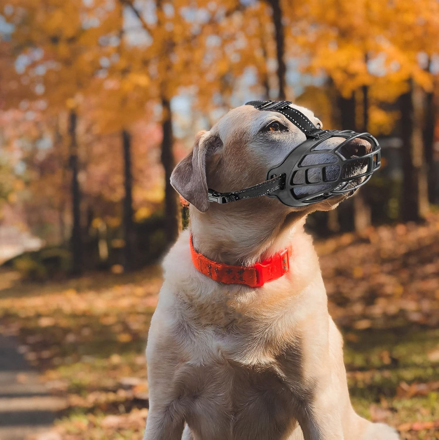 OHCOZZY Dog Muzzle, Basket Muzzle for Small, Medium and Large Dogs with Adjustable Straps (Size 2, Black) image number 2