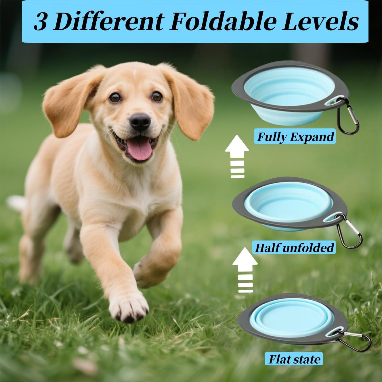 Bryzant Collapsible Pet Bowls 2-Pack Portable Silicone Pet Travel Water Bowl Suitable for Outdoor Travel Hiking Camping Convenient Dog and Cat Feeding Plate with Mountaineering Buckle image number 3