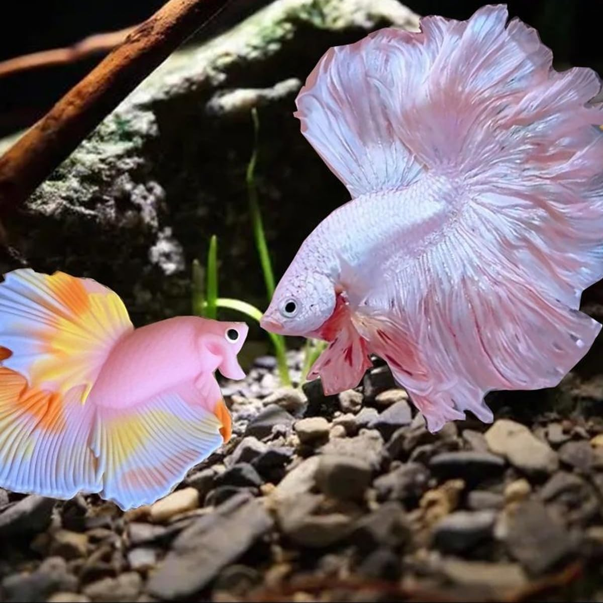 AIMALL Betta Fish Training Wand - Resin Betta Tail Training Stick for Aquariums, Natural Habitat Decor, Betta Fish Starter Kit image number 5