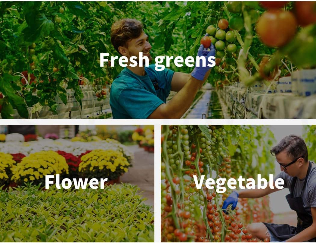 Levede 3 Tier Walk in Greenhouse Garden Shed PVC Cover Film Tunnel Green House image number 3