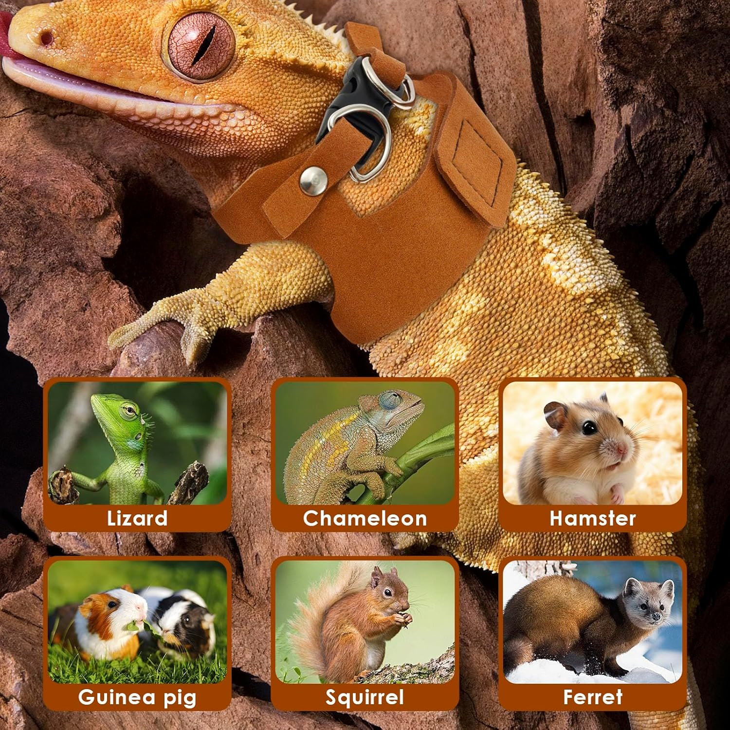 3 Pack Bearded Dragon Harness and Leash Adjustable Soft Leather Lizard Harness 3 Sizes with Leash Accessories for Bearded Dragon Lizard Squirrel image number 3