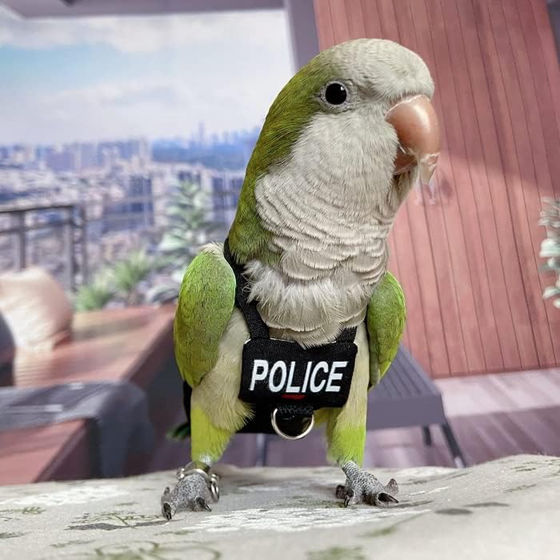 Bird Diaper Harness Flight Suit Clothes, Parrot Flight Suit with Leash for Parrot, Bird Flying Clothes with Rope and Handle for Outdoor Activities Training (With Leash - Xx-Large) image number 2