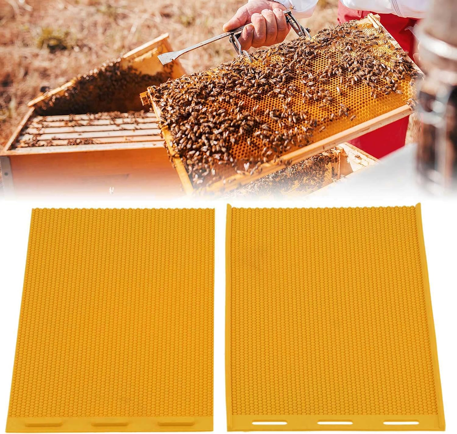 Beeswax Press 5.4Mm Comb Foundation Sheet for Beekeeping Supplies Yellow 2Pcs