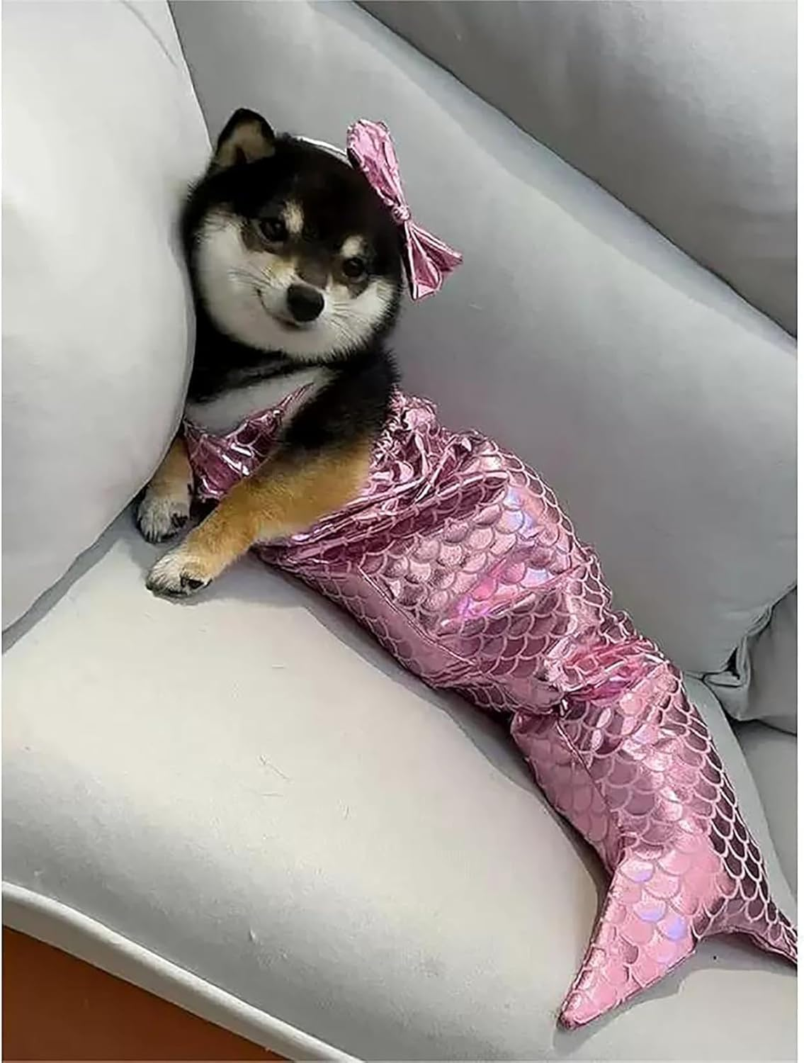 Cat Mermaid Costume - Mermaid Costume for a Small Dog or Cat, Mermaid Cat Costume, Cat Mermaid Outfit, Cat Mermaid Tail, Mermaid Costume for Cat, Funny Mermaid Cat Clothing (S,Green) image number 2