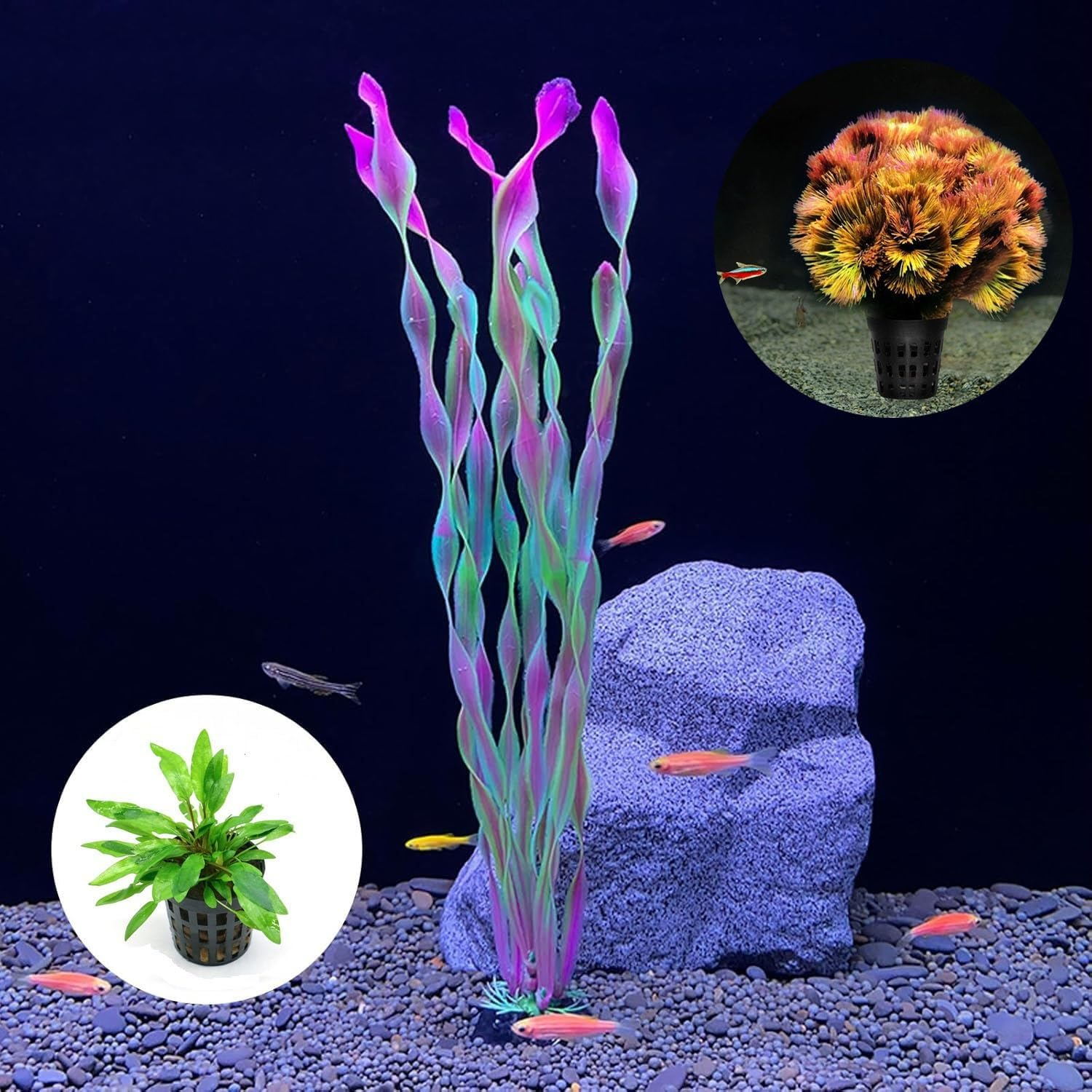 15 Pcs Aquarium Planting Baskets Rings, Aquatic Plants Fixed Ring Set, Aquatic Plant Planting Basket Flower Pots Aquarium Plant Weights Pot Anti-Floating Aquarium Decoration Fish Tank Accessories image number 2