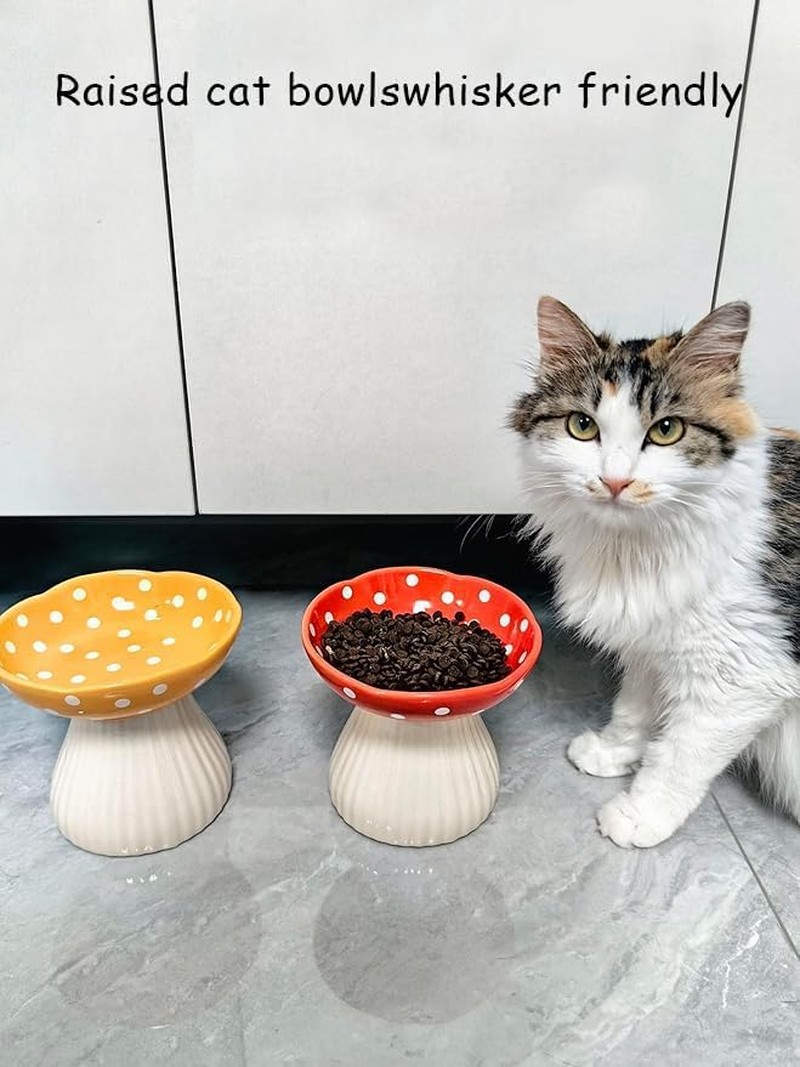 WEZCHUGHAOL 2 Pack Elevated Cat Bowls - Ceramic Raised Pet Food & Water Dishes with Non-Slip Base, Whisker Friendly Tilted Design for Flat-Faced Cats & Kittens, Mushroom Style Feeder image number 4