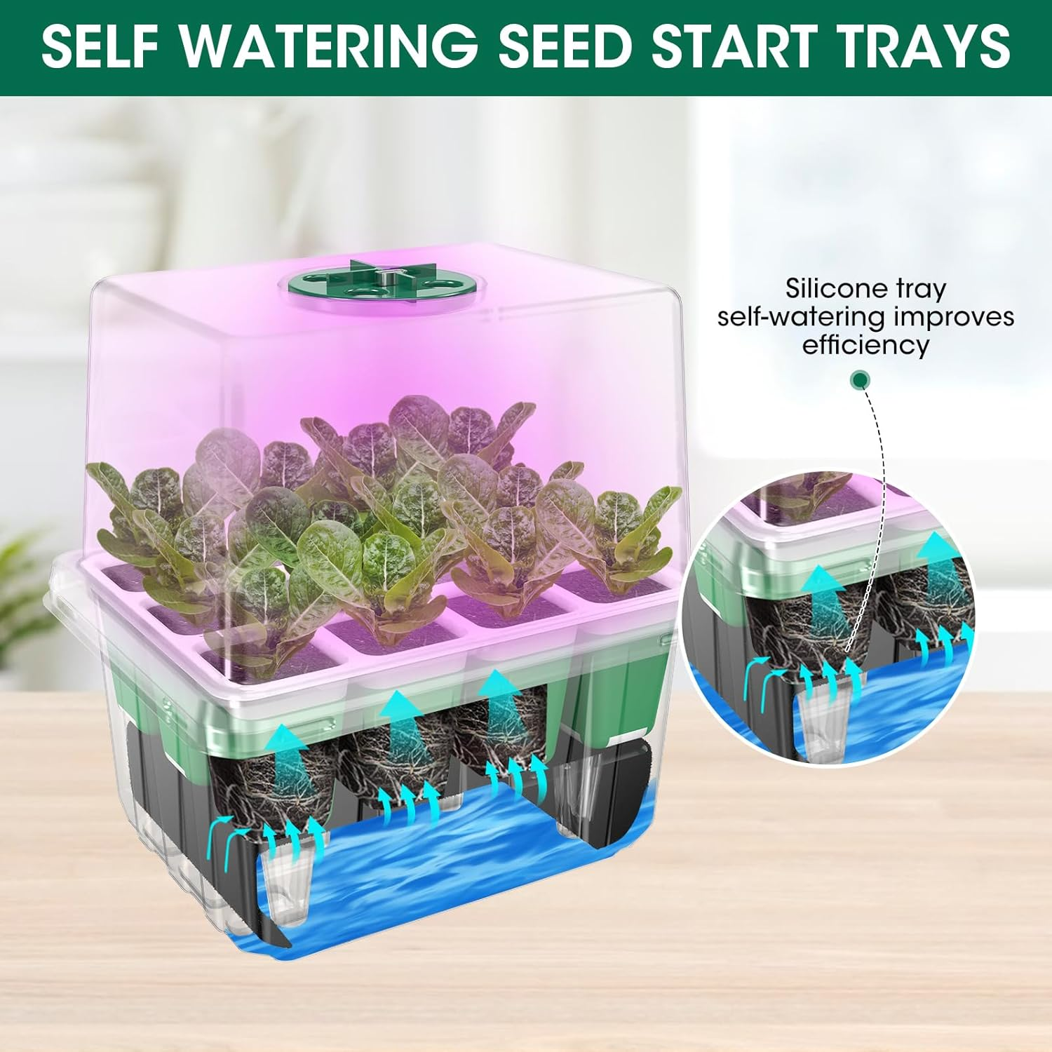 MQHUAYU Self Watering Seedling Tray with Grow Light, 5-Pack 60-Cell Reusable Seed Starter Kit with Soft Silicone, Plant Germination Trays with Humidity Dome for Seeding Planting Growing image number 2