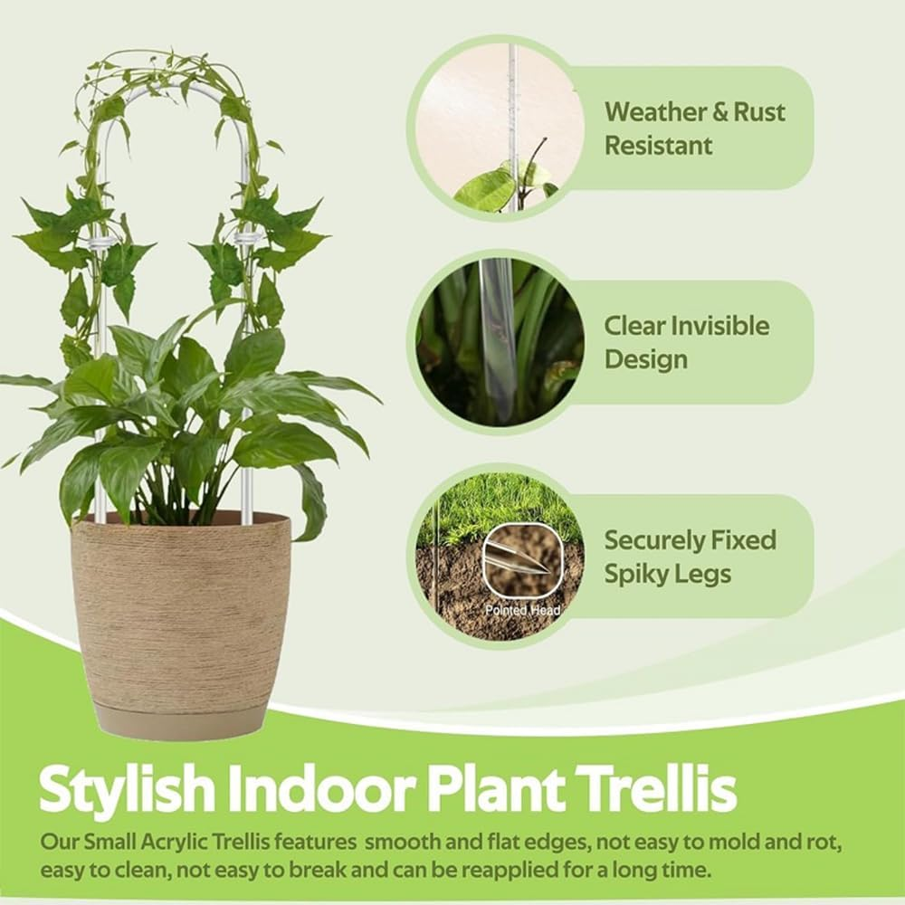 12-Pack Clear Acrylic Plant Trellis for Potted Plants,Indoor/Outdoor Climbing Support Stakes,Ideal for Hoya Pothos Ivy Monstera Philodendron image number 2